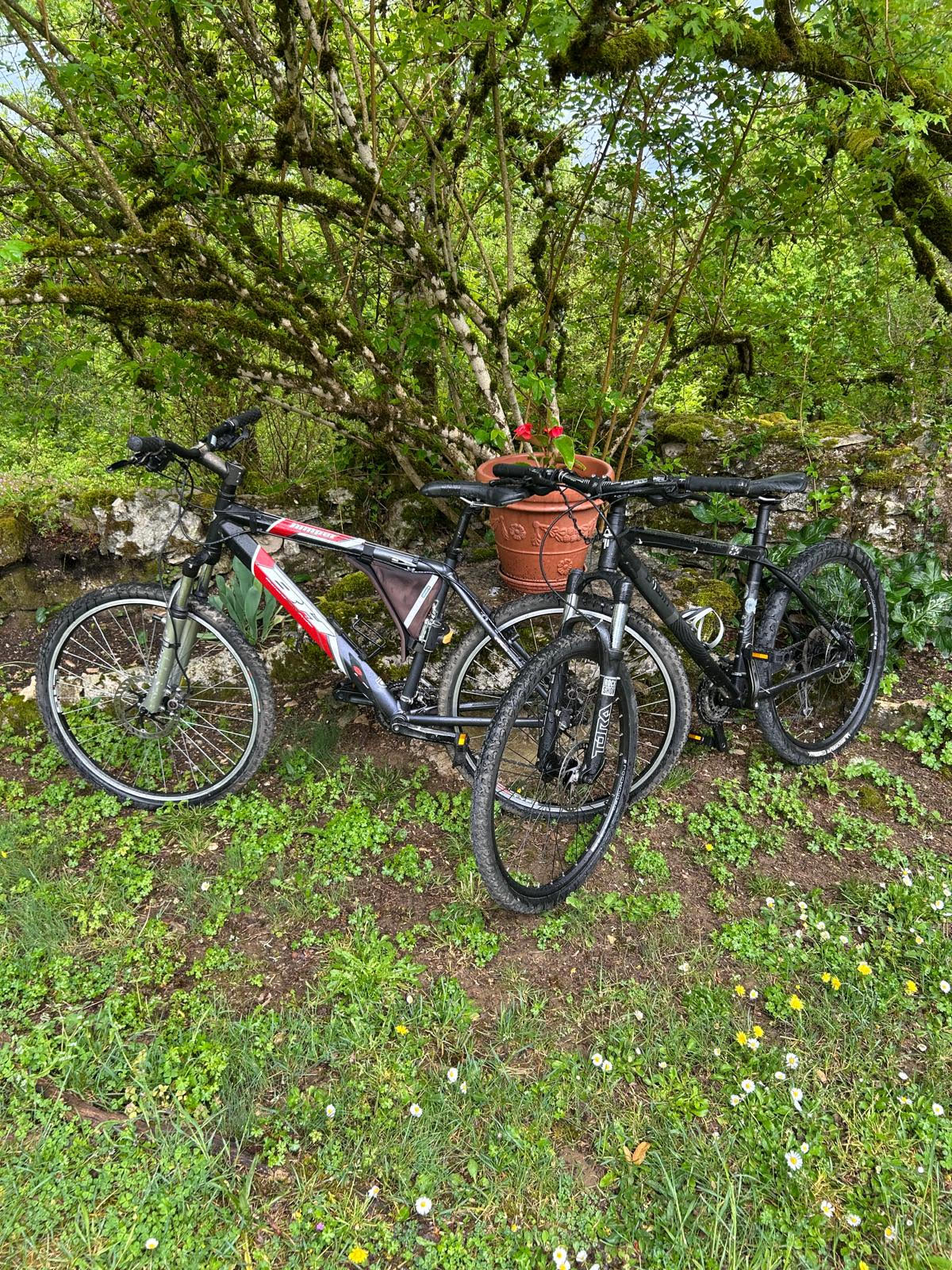 Gîte sur le Causse de St Chels - Le Causse, Saint-Chels - photo 19