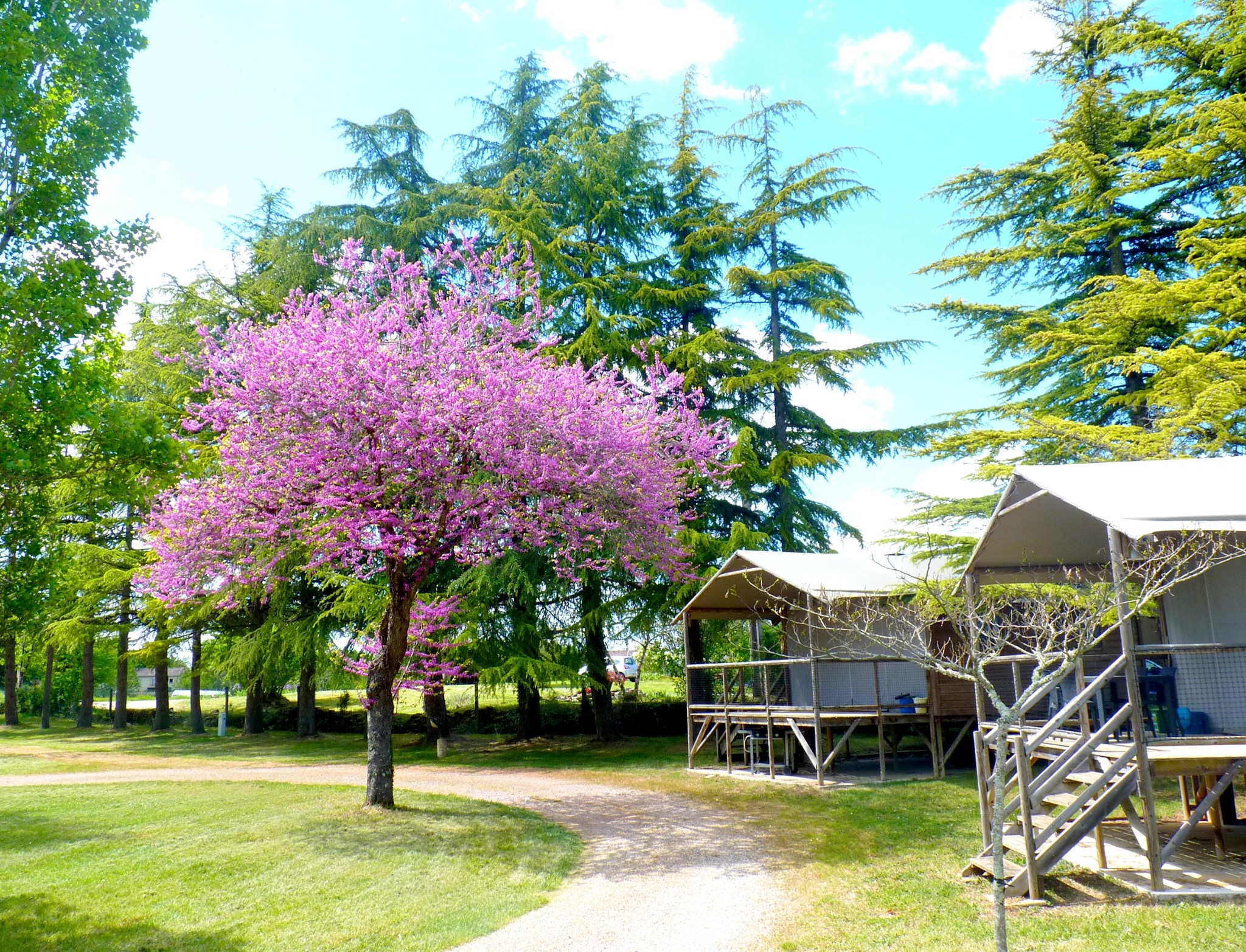 Lodges - Camping Quercy Vacances, Saint-Pierre-Lafeuille - photo 7