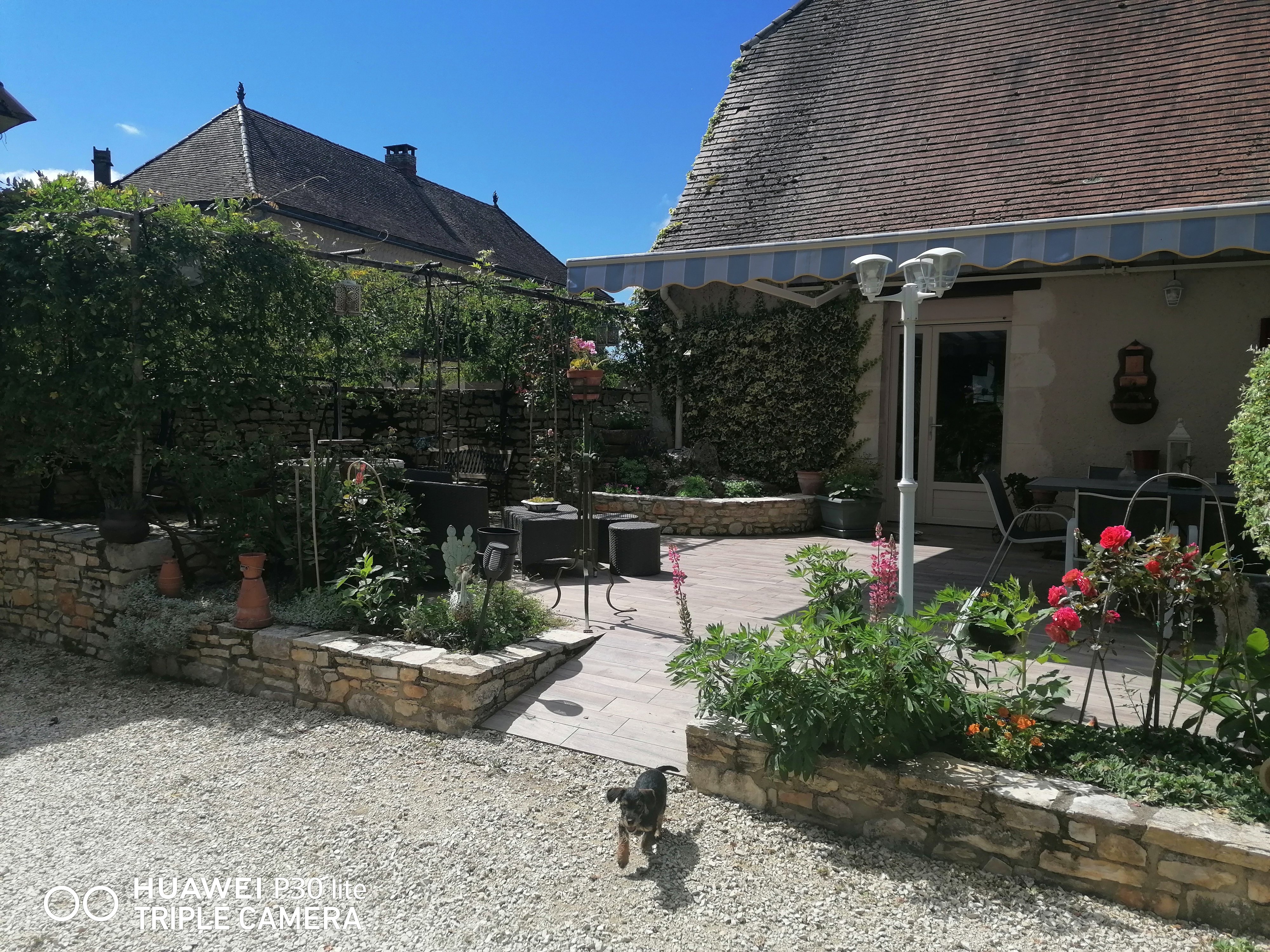 Les Oiseaux, Uzech - photo 7