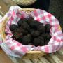 Marché aux truffes d'hiver à Limogne en quercy