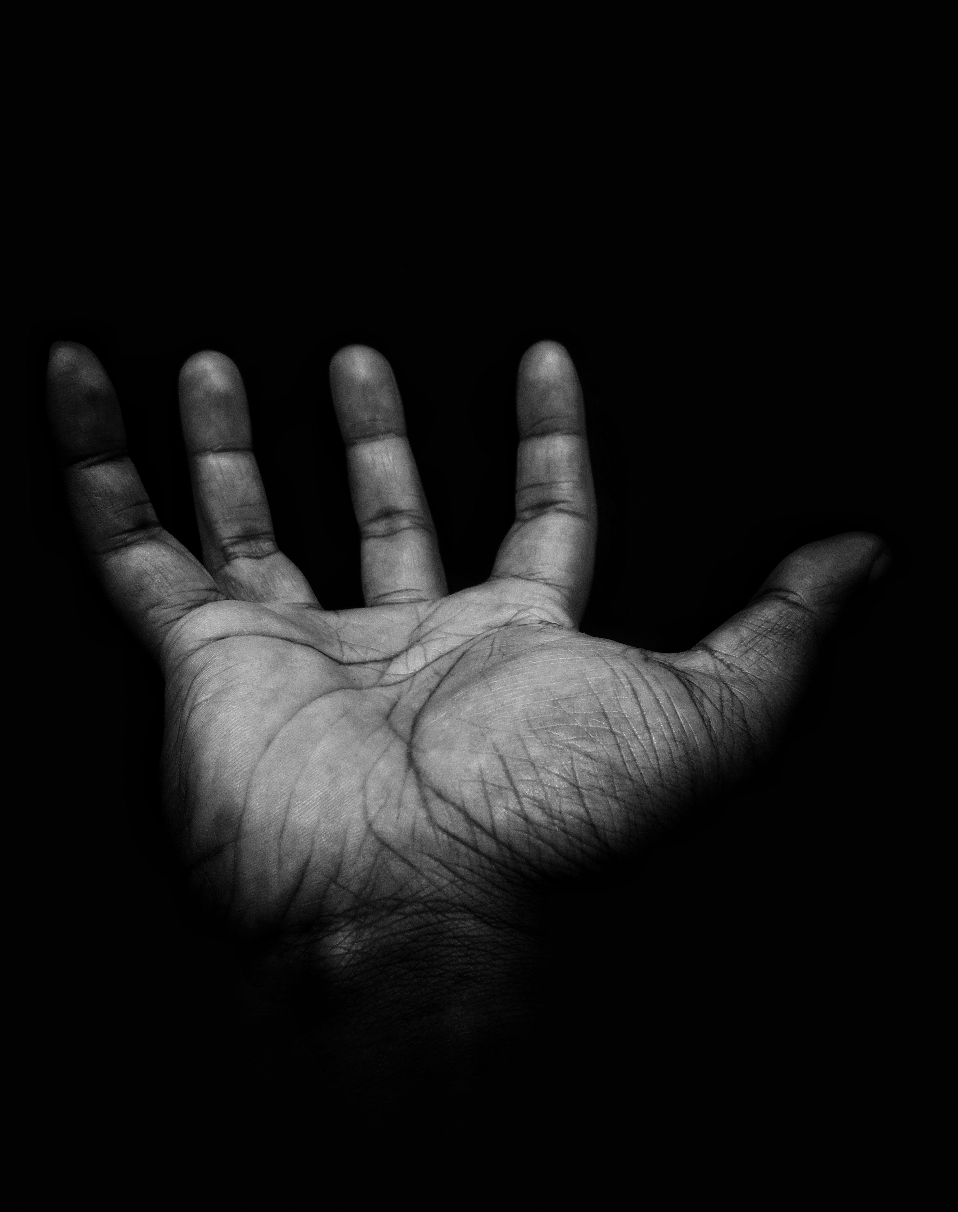 O Les Mains !