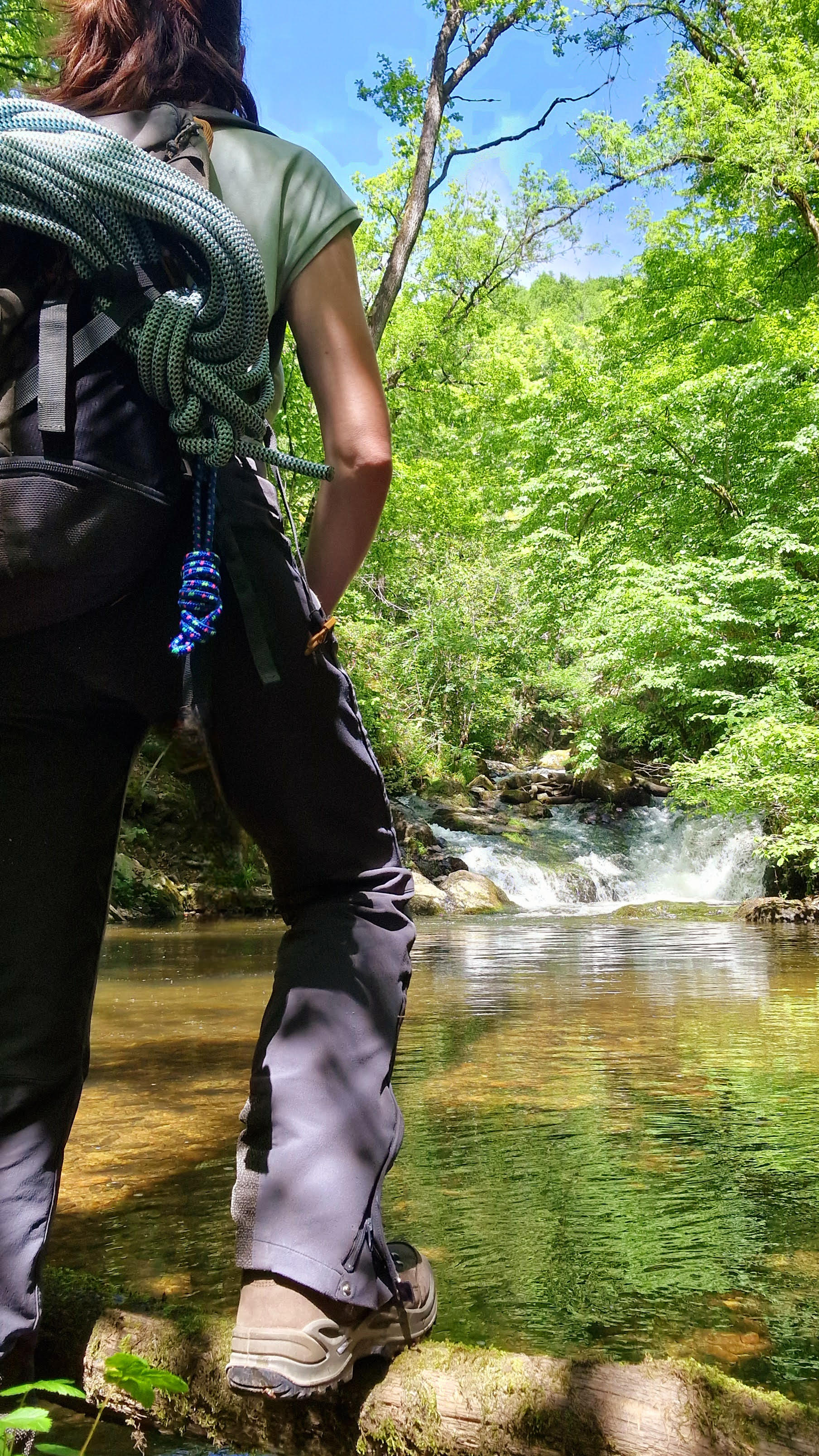 My Pause Nature, Montet-et-Bouxal - photo 10