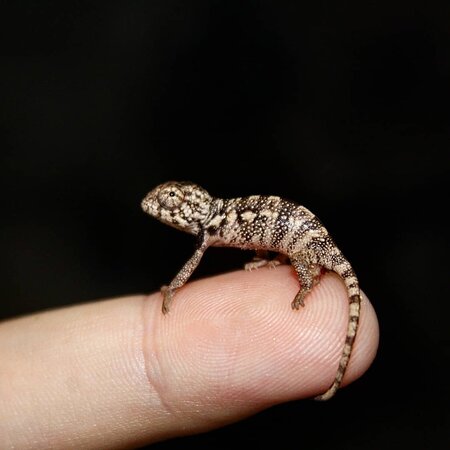 PadiParc, Padirac - photo 10