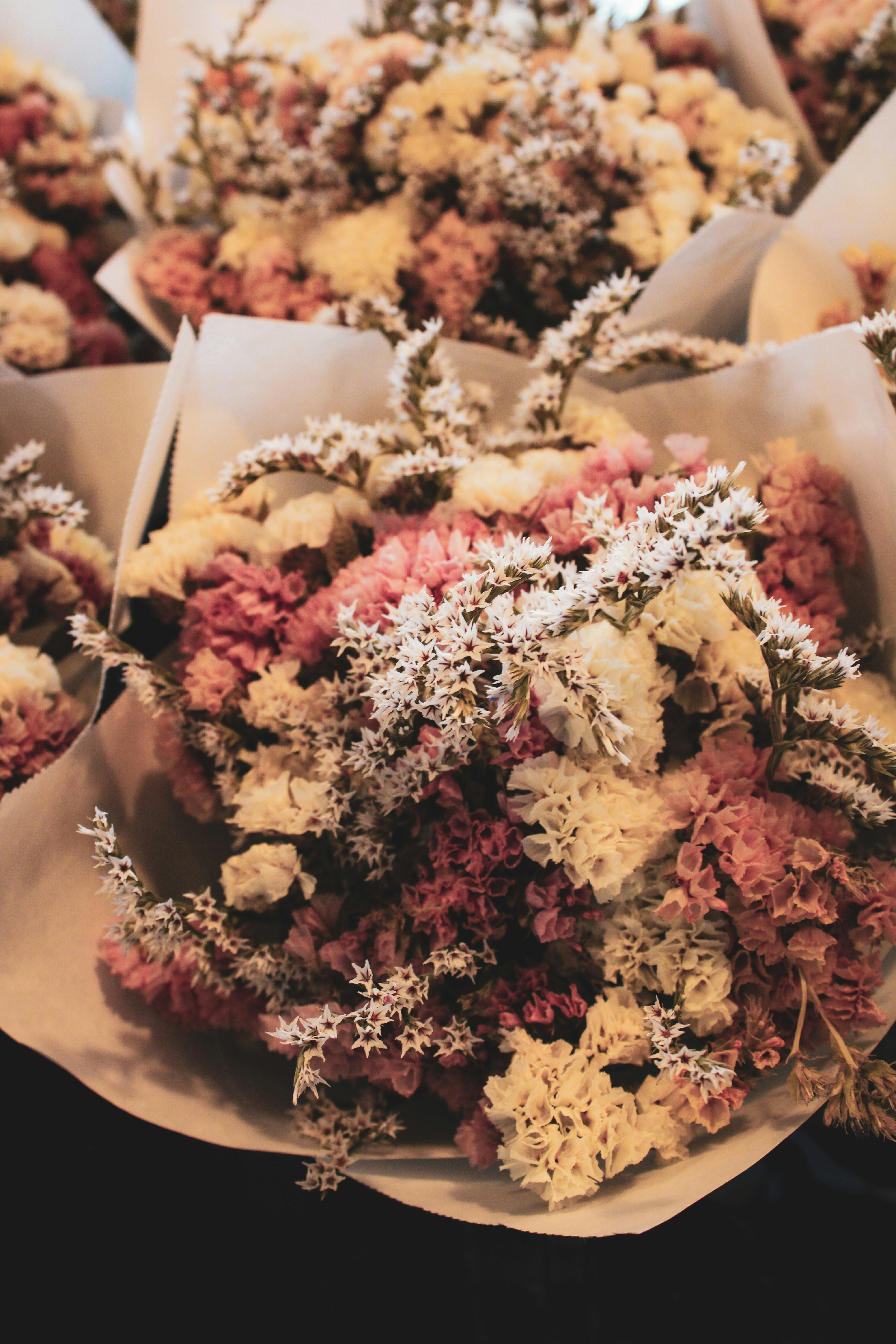 Dans le cadre des rencontres Plantes et cie : Les herbes de la saint Jean