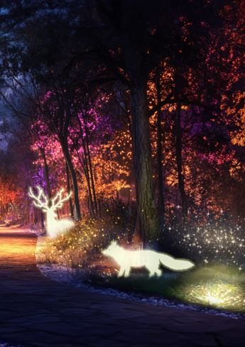 La magie de Noël au Parc animalier de Gramat