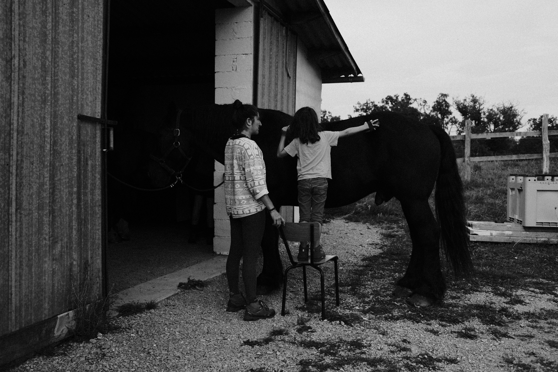 Journées découverte de la Médiation par le cheval