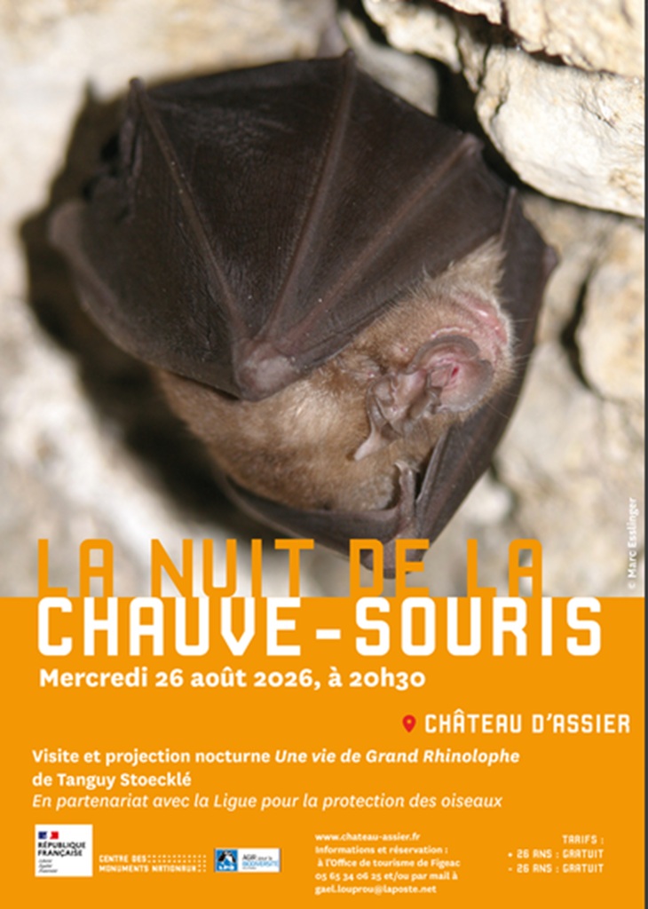 La nuit de la chauve-souris au Château d’Assier