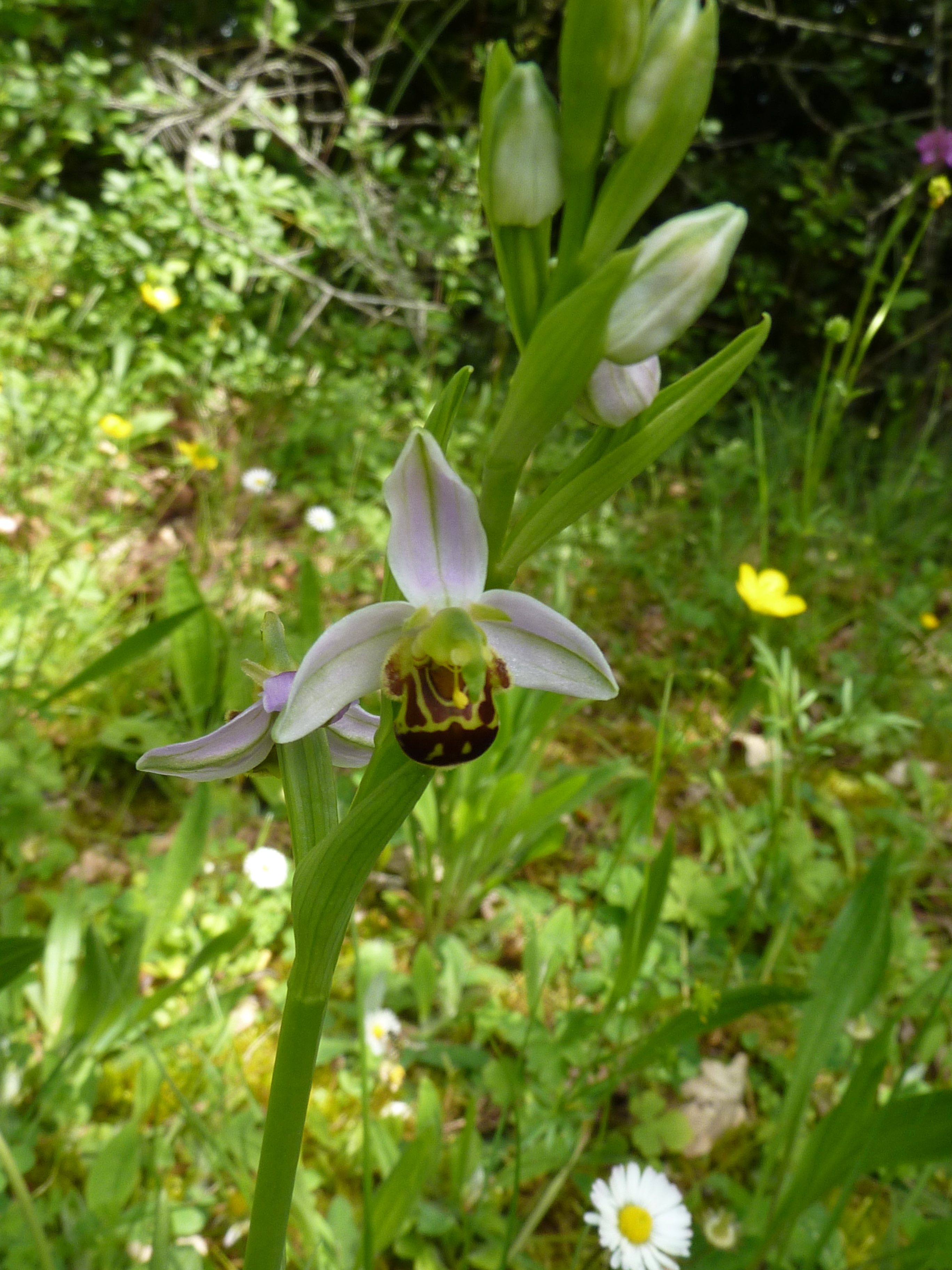 Le Mas de Gramat, Payrac - photo 16