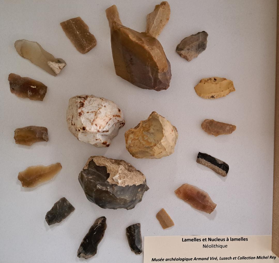 Musée Municipal Armand Viré - Espace Ammonites / Espace Archéologique