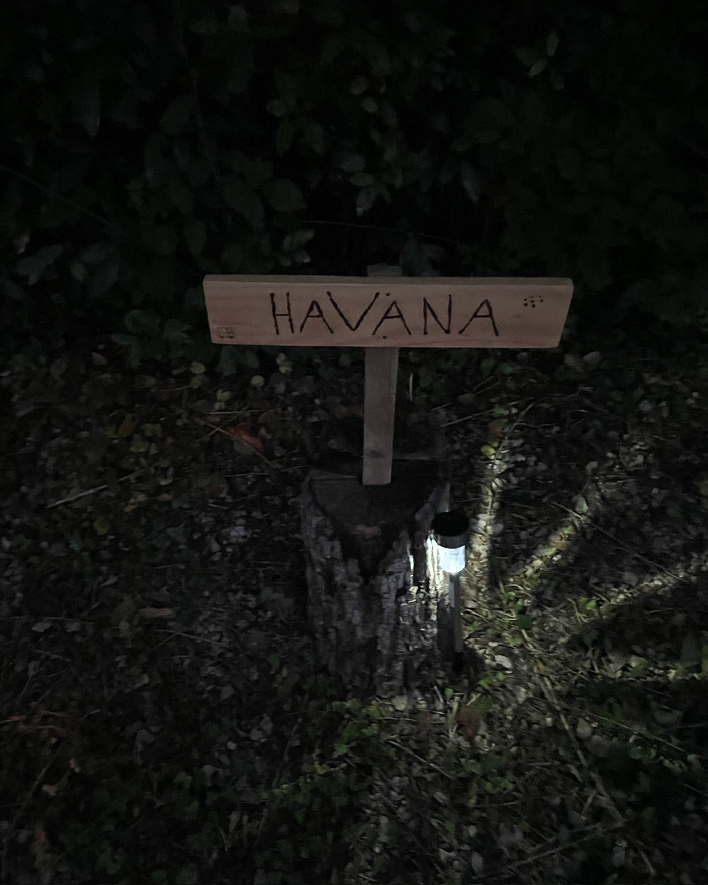 OASIS DU LOT -  GITE HAVANA, Payrac - photo 27