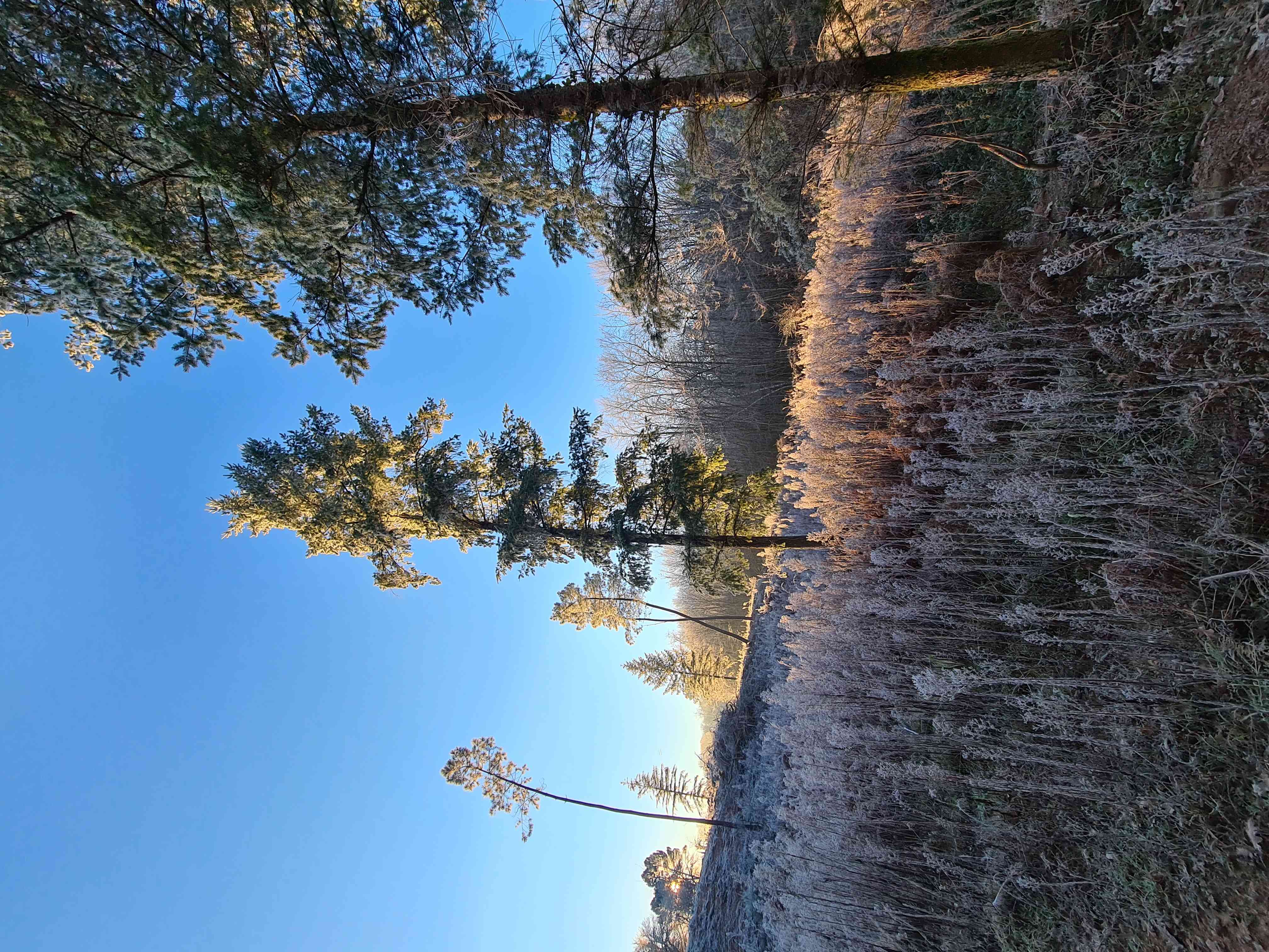 La Perle de Frayssinet-le-Gélat, Frayssinet-le-Gélat - photo 8