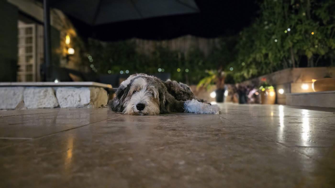 Rusty Shears, Lacapelle-Cabanac - photo 61