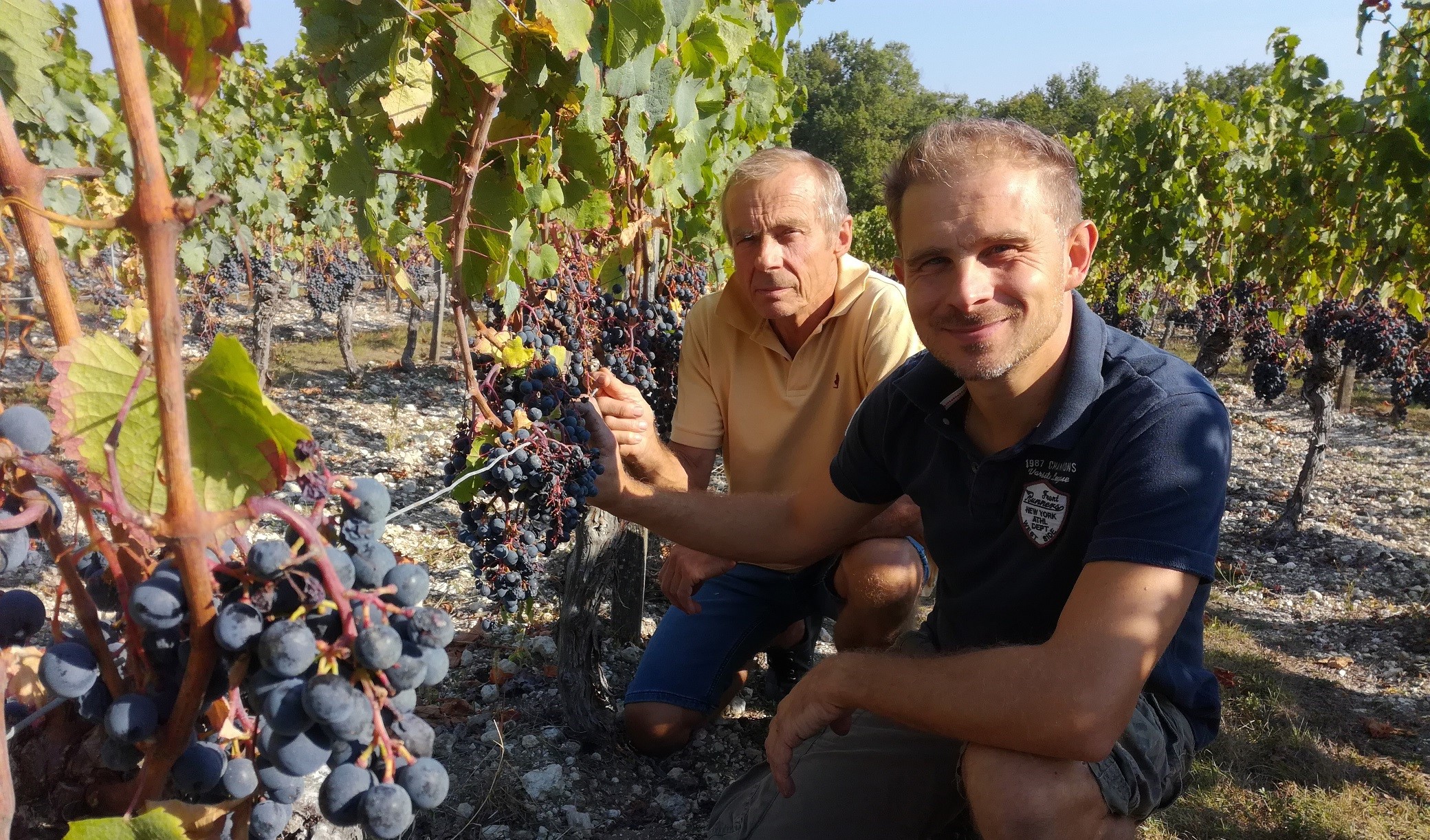 Domaine Pejusclat