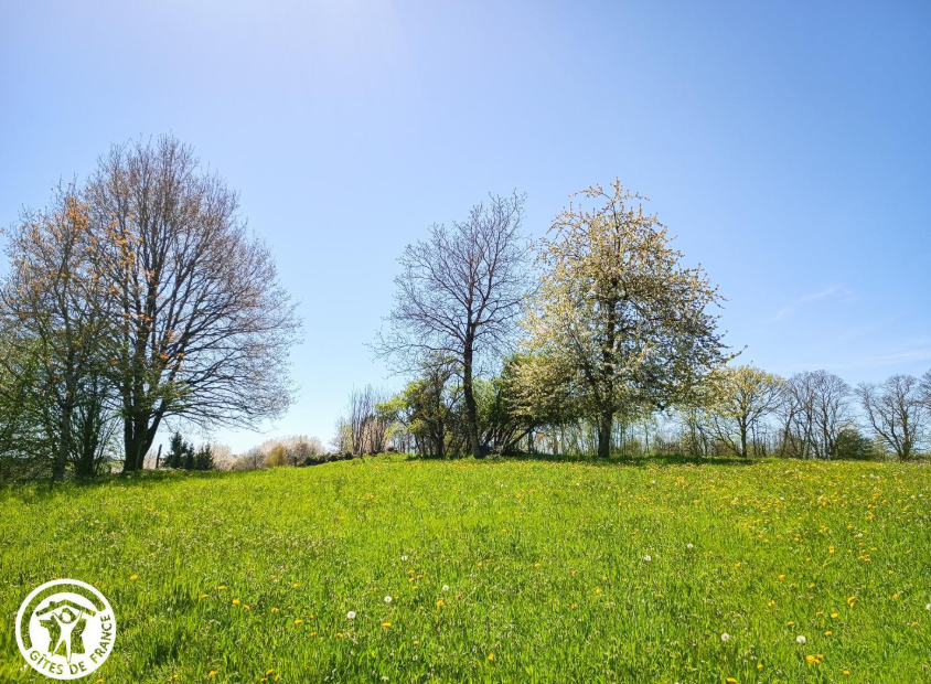 Gîte du Fau, Bessonies - photo 6