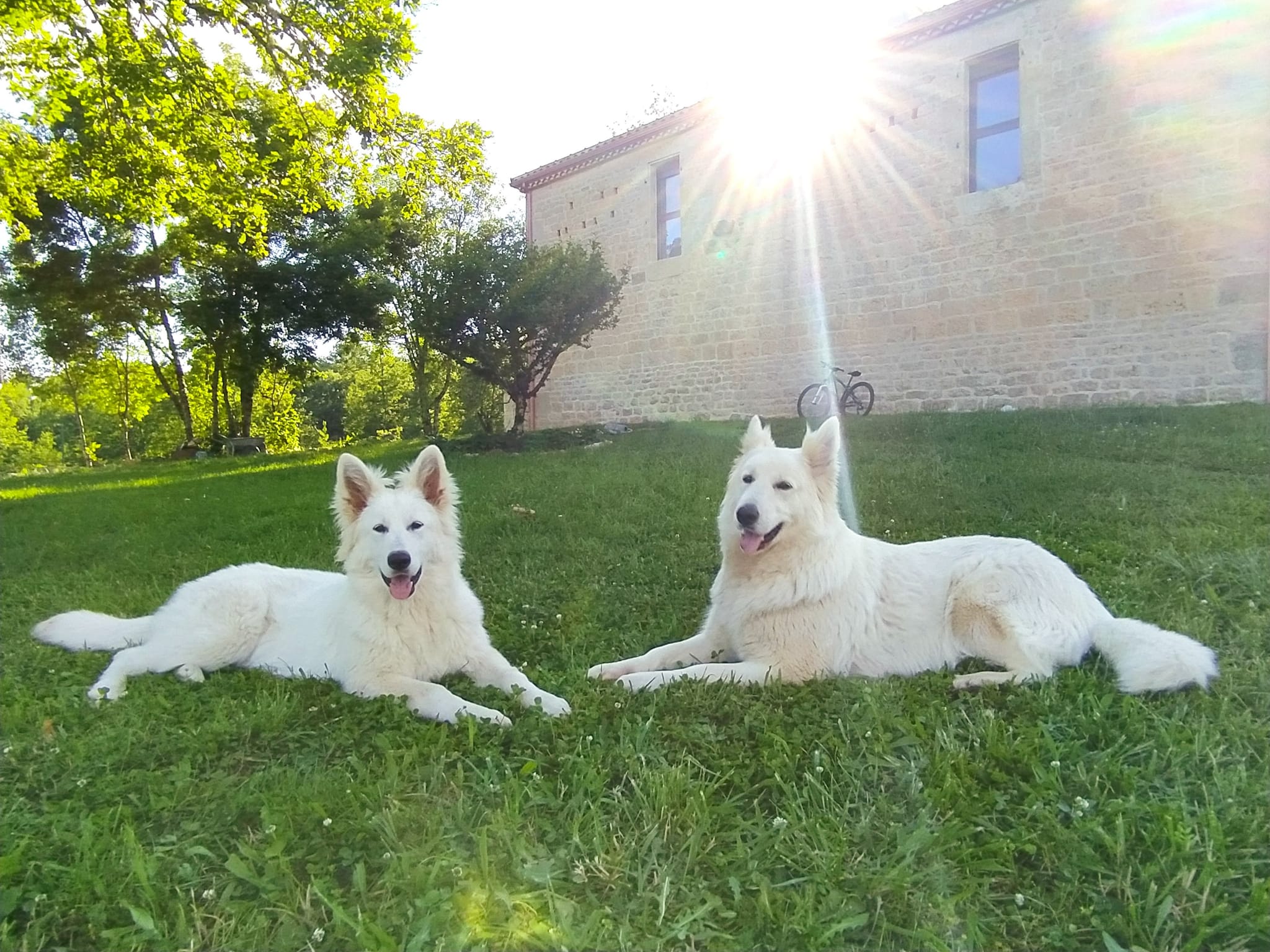 Gîtes de Machassis - La Maisonnette, Bélaye - photo 9