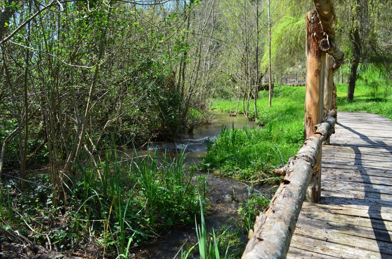 Caillebotis du Site Archéologique du Piage