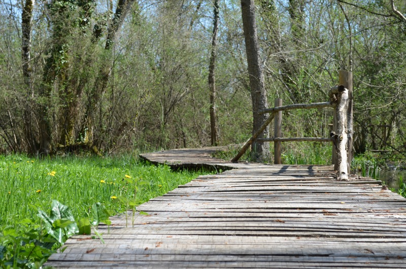 Caillebotis du Site Archéologique du Piage, Fajoles - photo 8