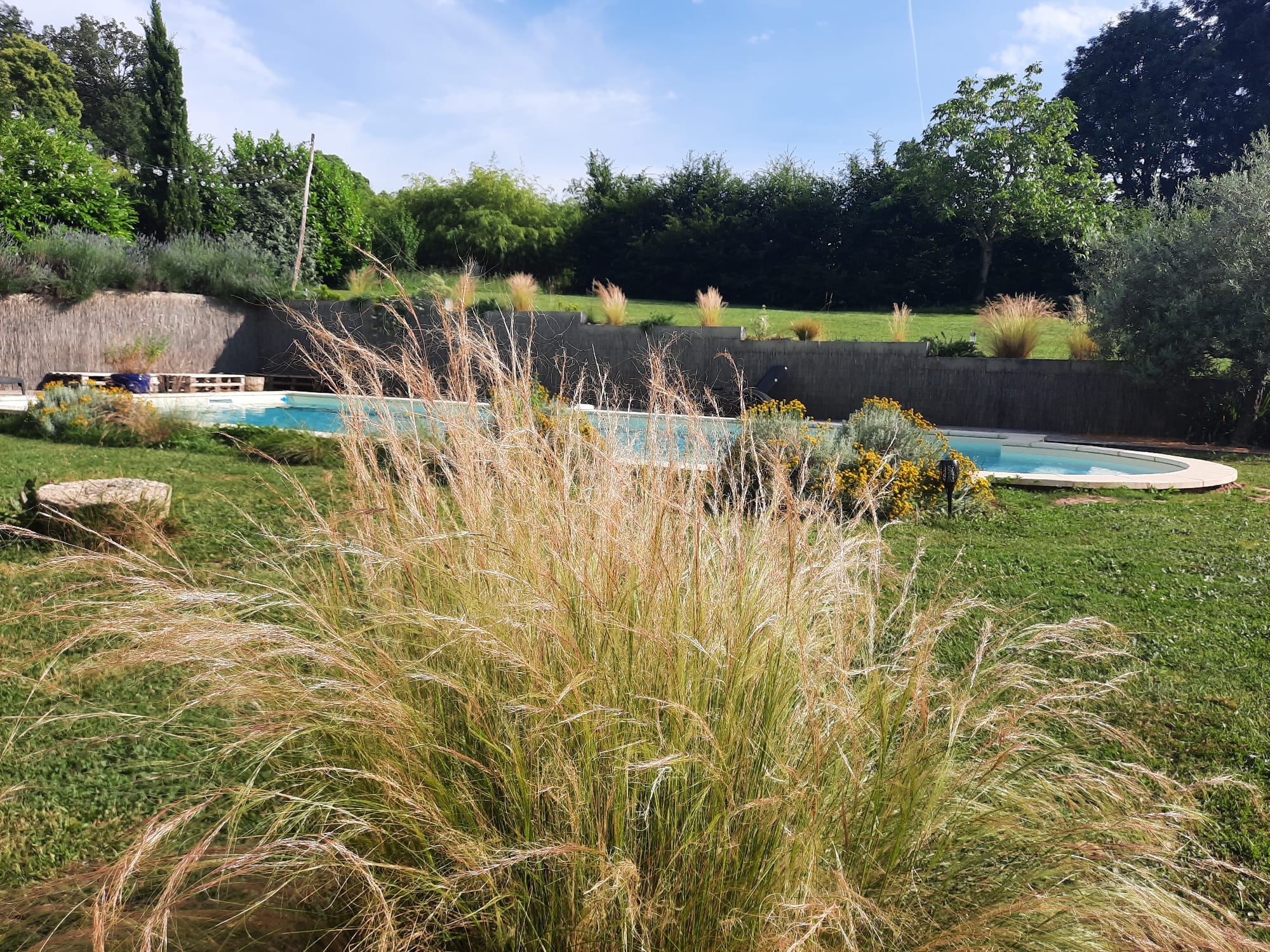 L’ Ane Papillon, Saint-Cirq-Souillaguet - photo 32