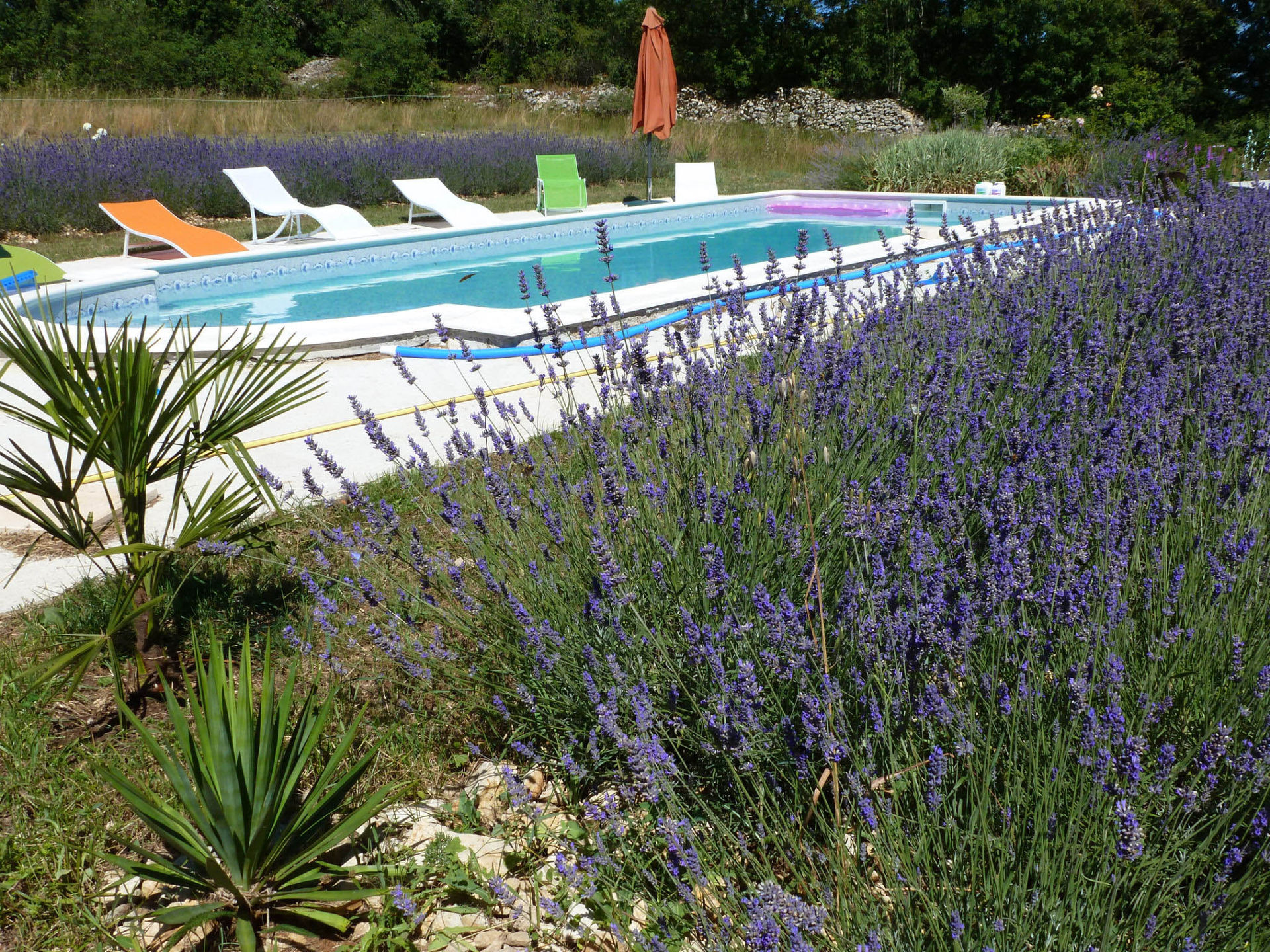 Gîte La Mule Du Causse, Caniac-du-Causse - photo 8