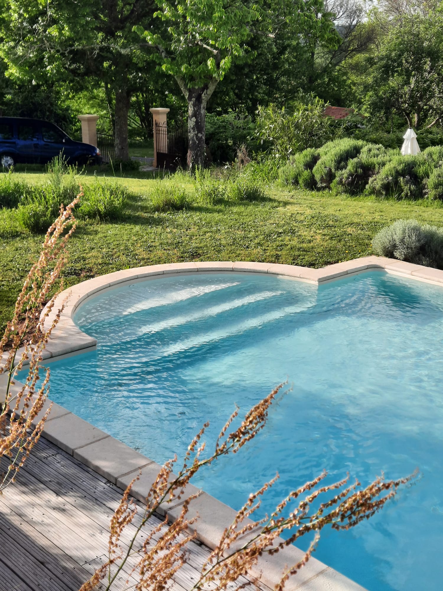 Le Petit Olivier, Saint-Cirq-Souillaguet - photo 31