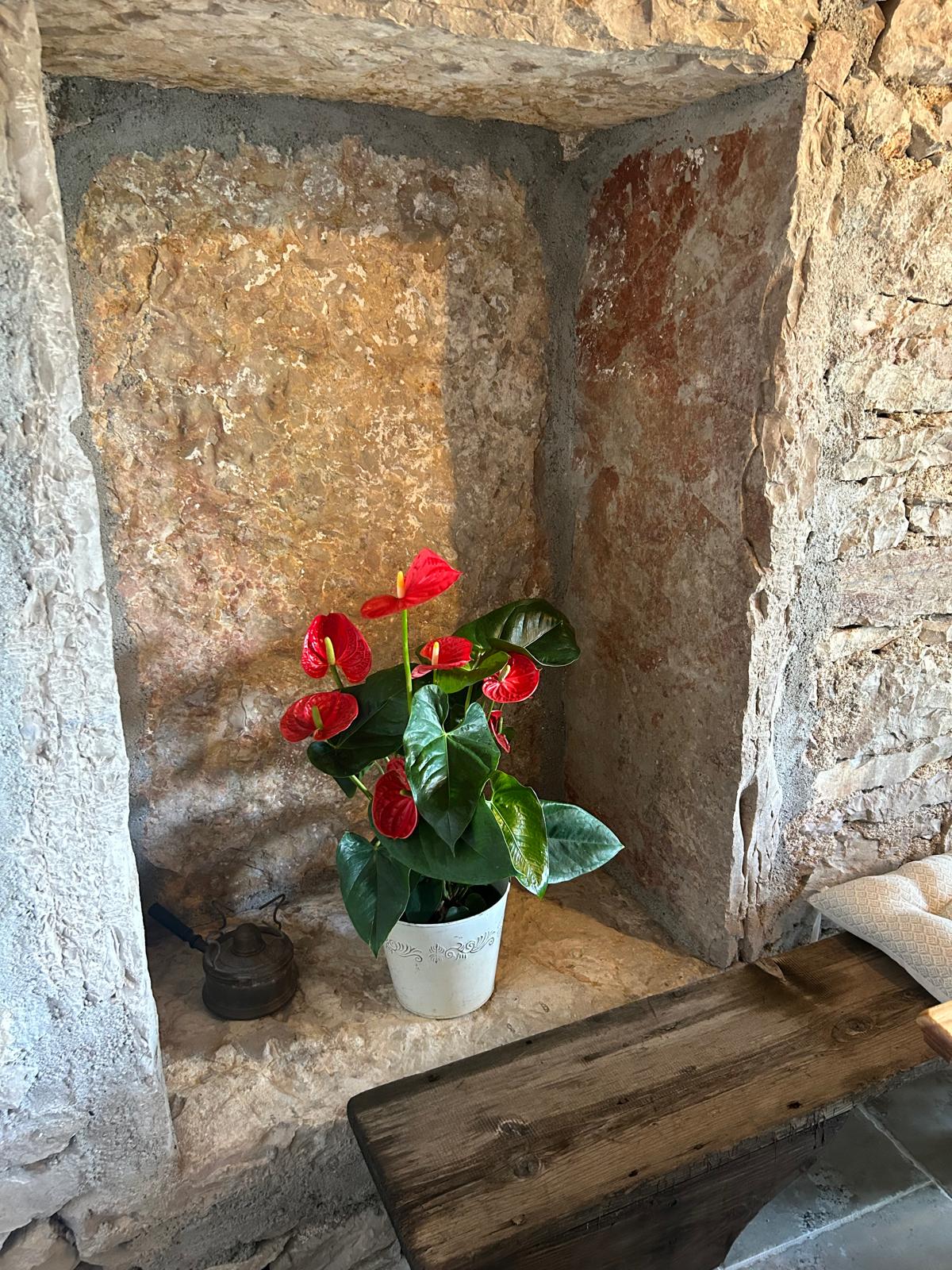 Gîte sur le Causse de St Chels - La Cazelle, Saint-Chels