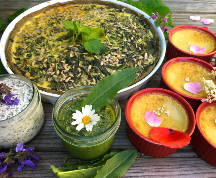 Atelier Cuisine Sauvage