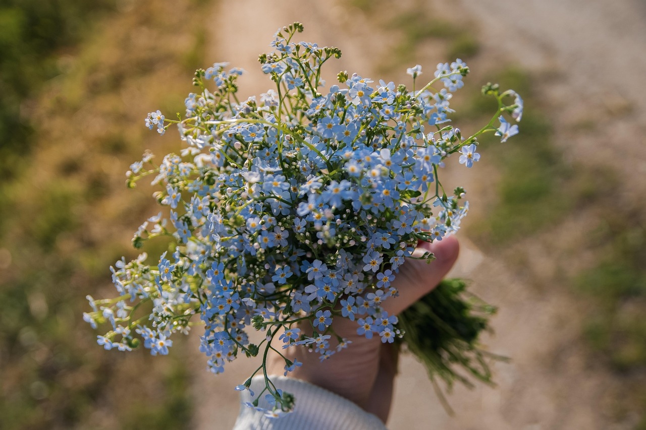 Atelier "Cuisine de plantes sauvages" au Jardin Bourian