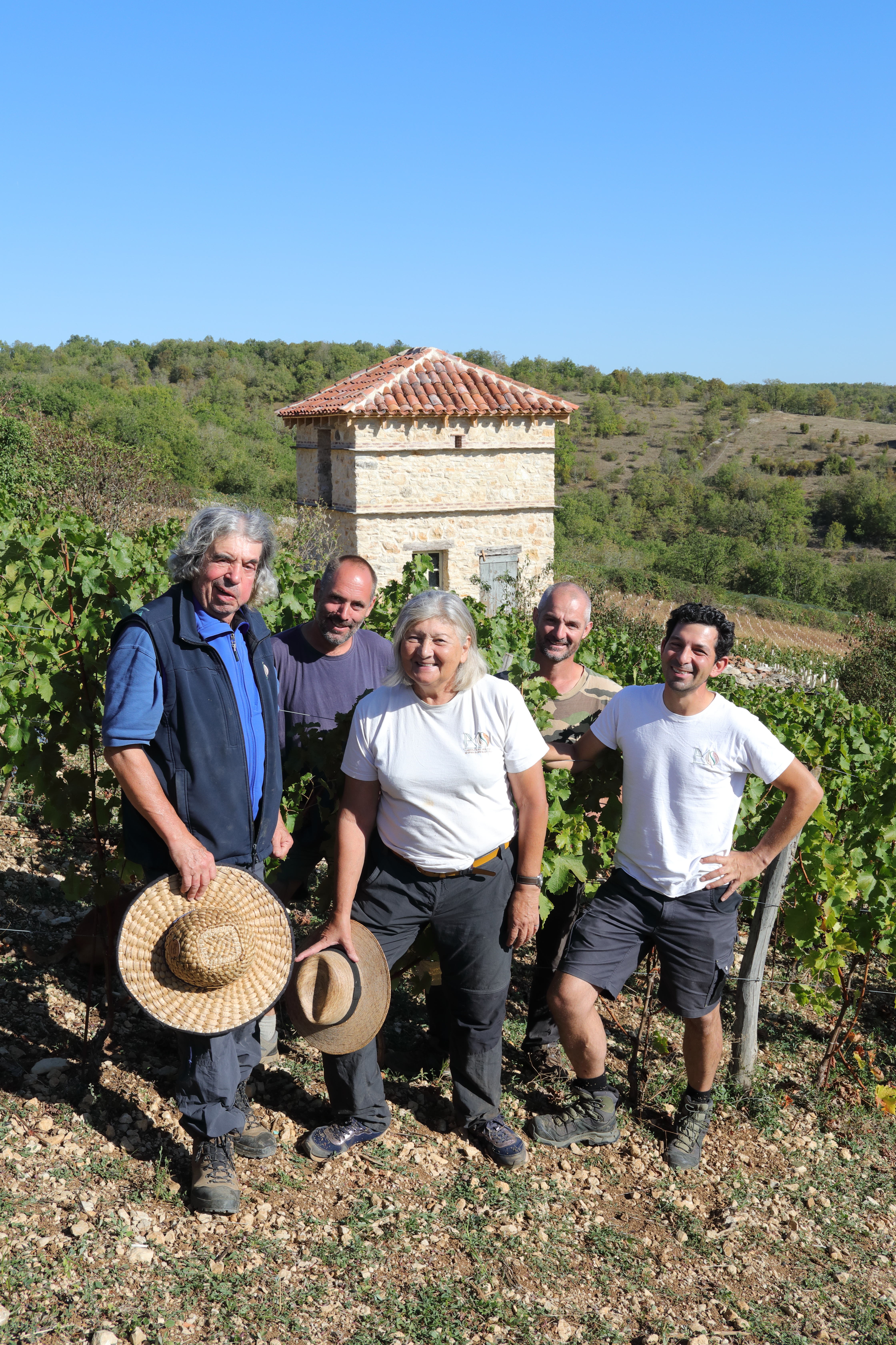Domaine Laroque d'Antan