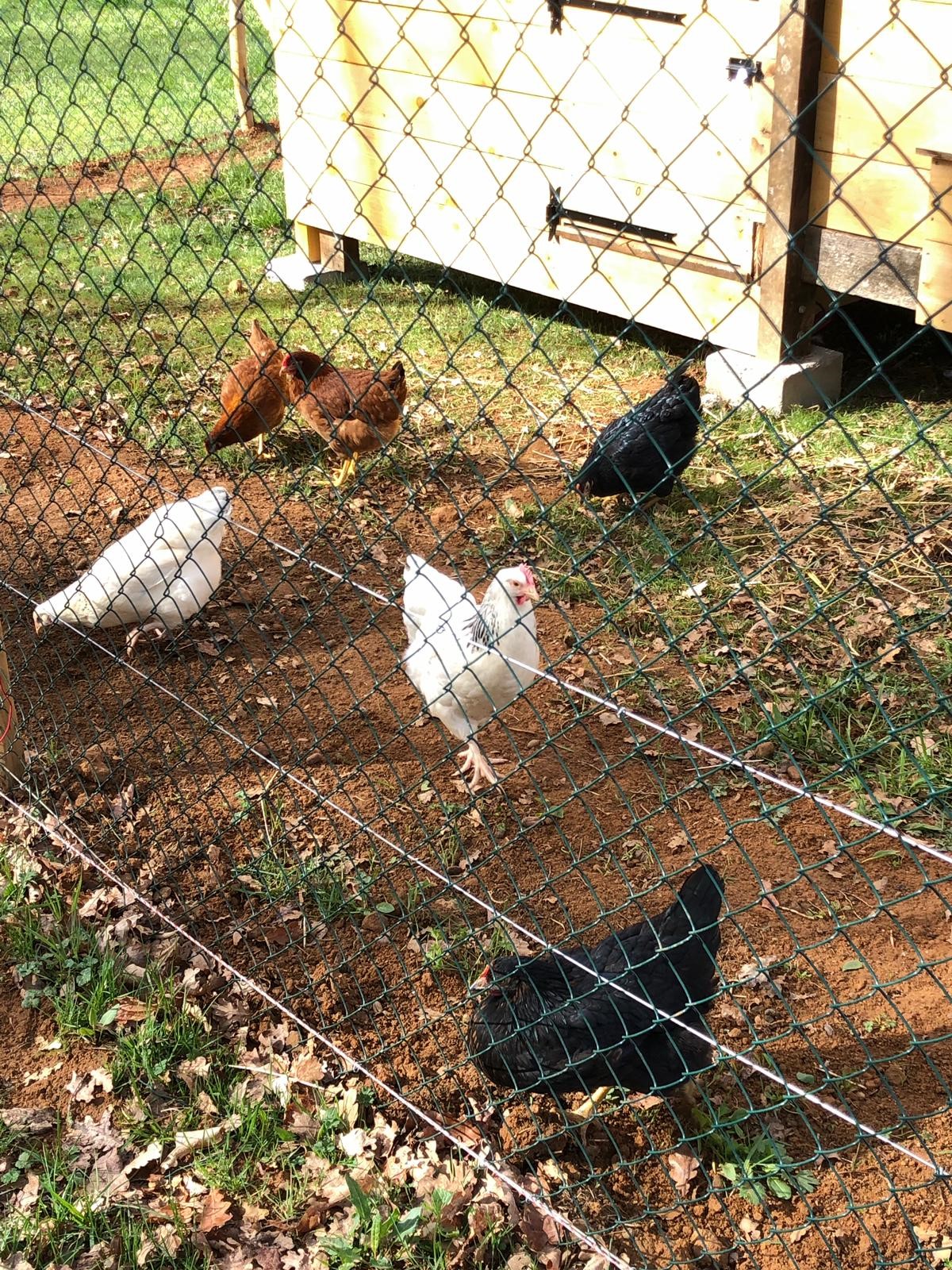 Le Castelat de Julienna - Le Pigeonnier, Gourdon - photo 12