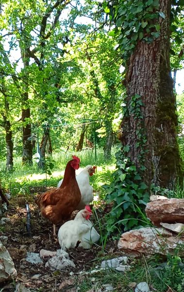 Marmite et Traversin, Cénevières - photo 15