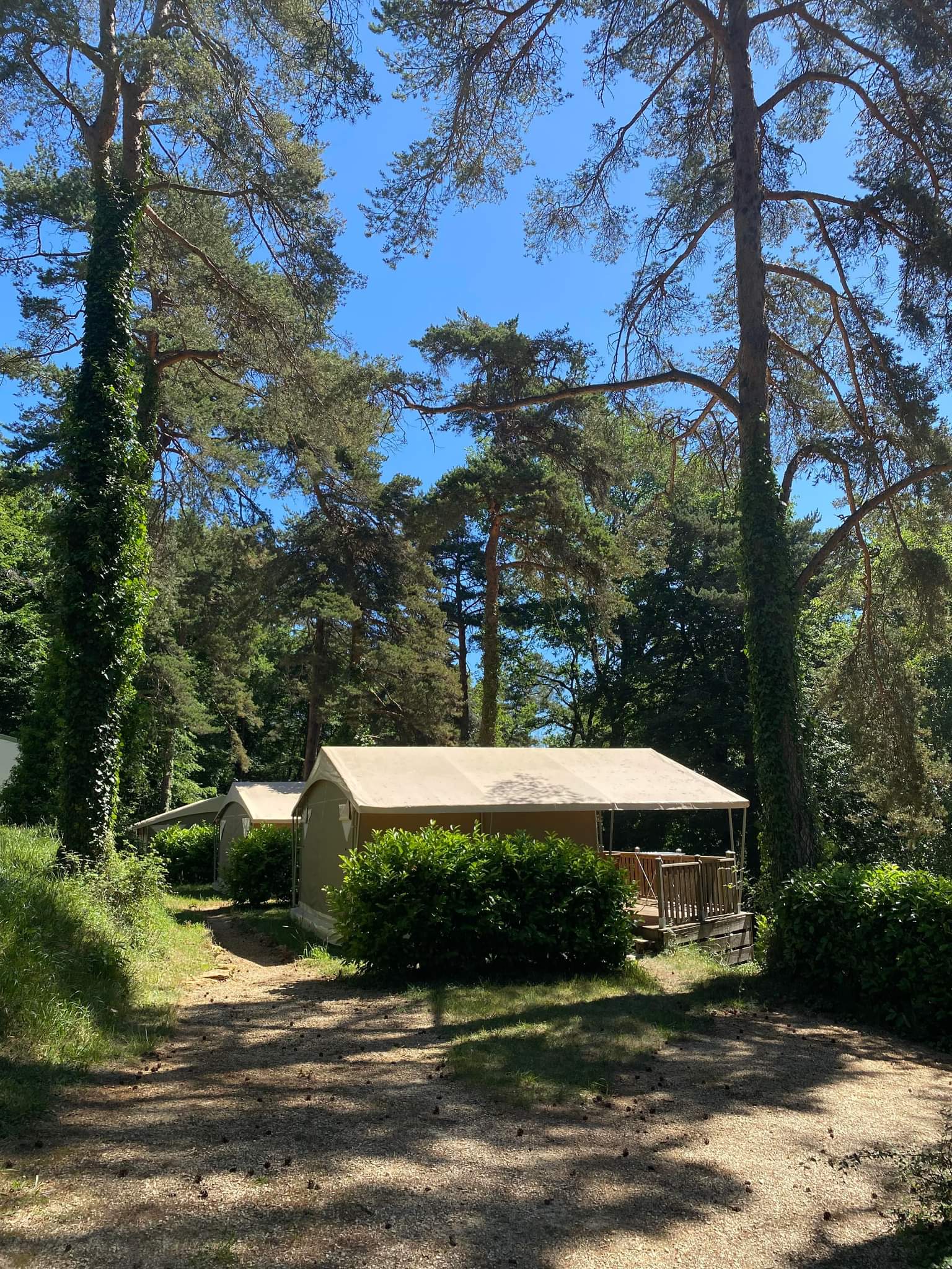 Camping 46 Rainettes, Goujounac - photo 5
