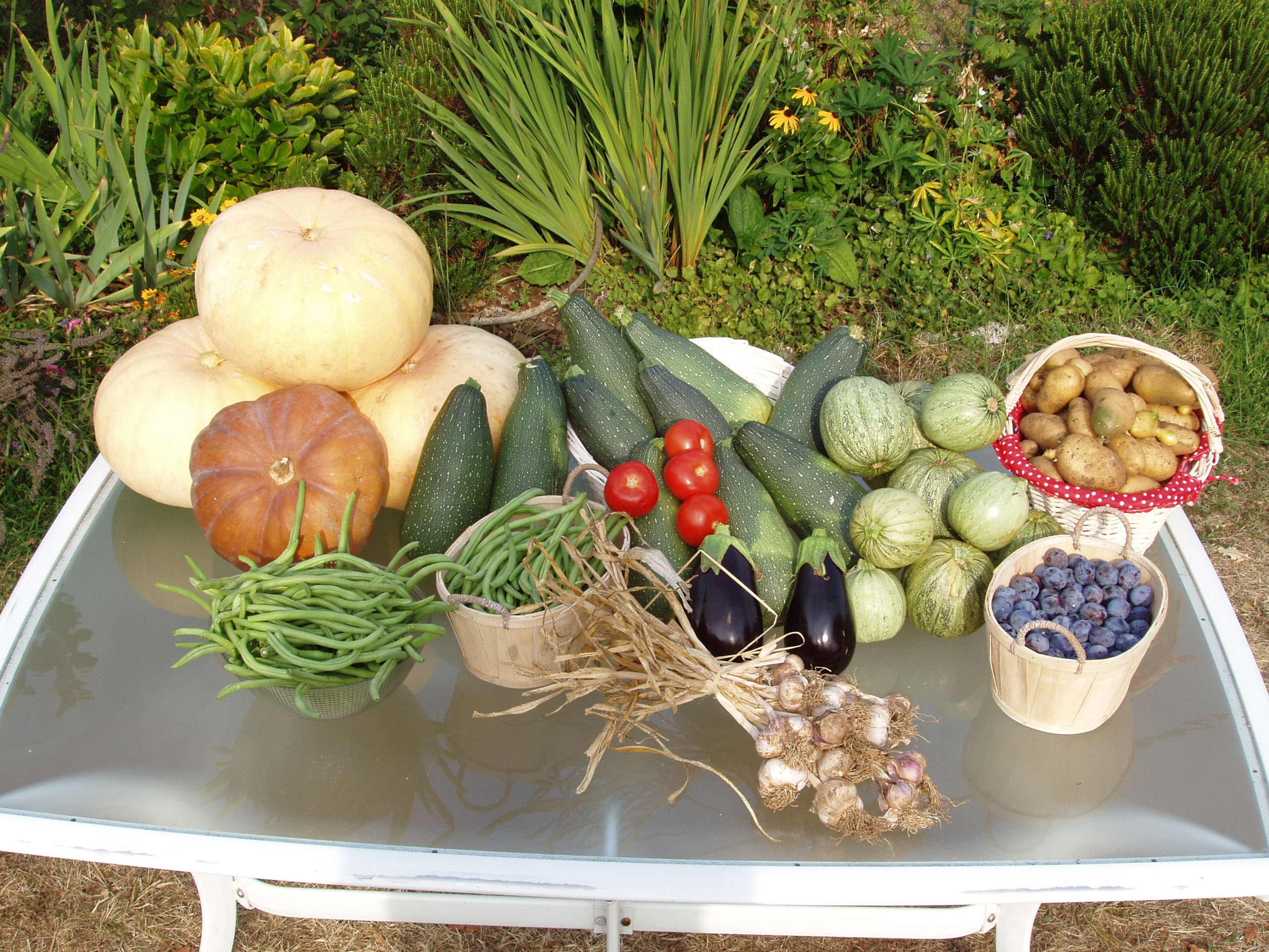 Le Mas de Gramat, Payrac - photo 17