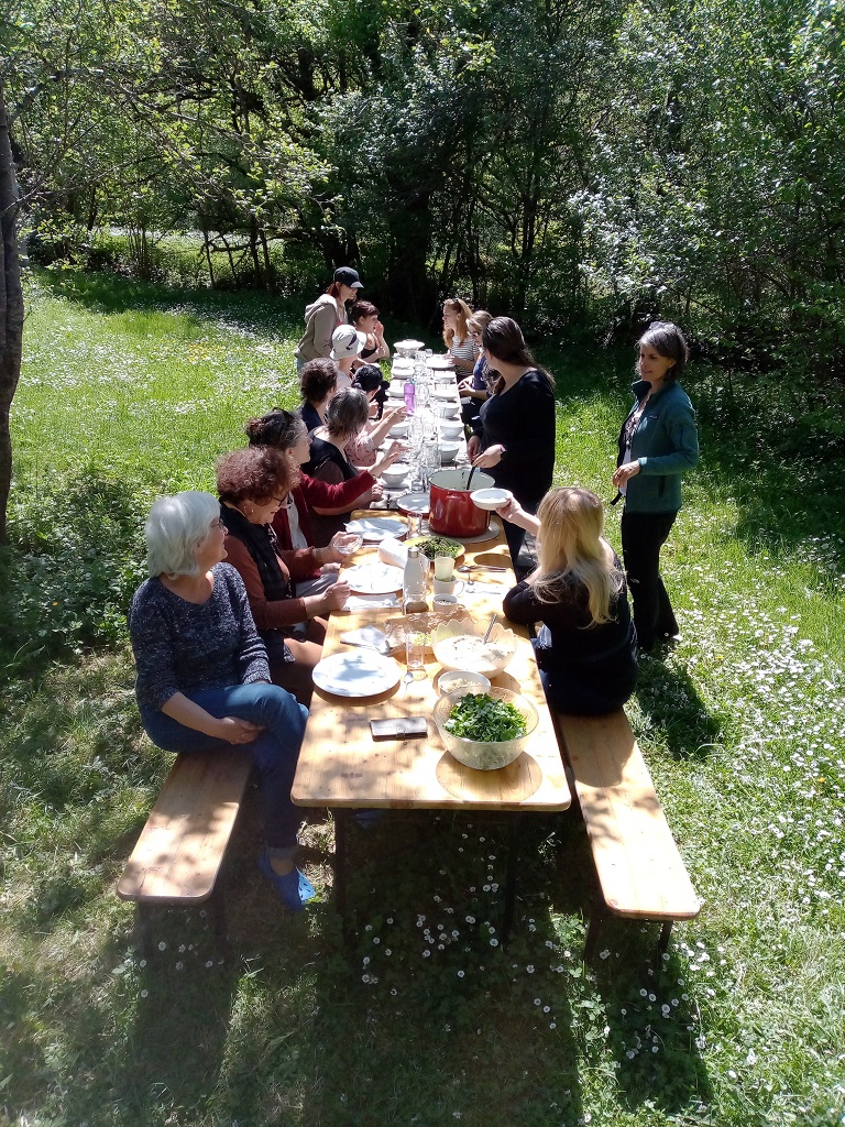 Stage de cuisine sauvage: 50 plantes de printemps