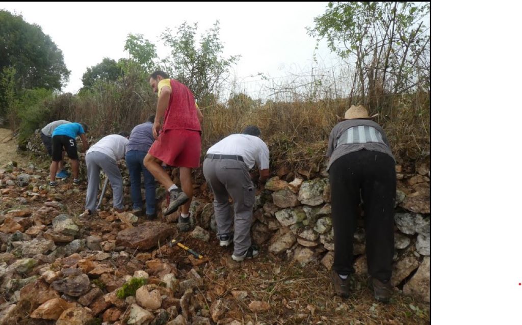 Journée d'initiation à la réfection des Murets en pierre sèche., Espédaillac - photo 4