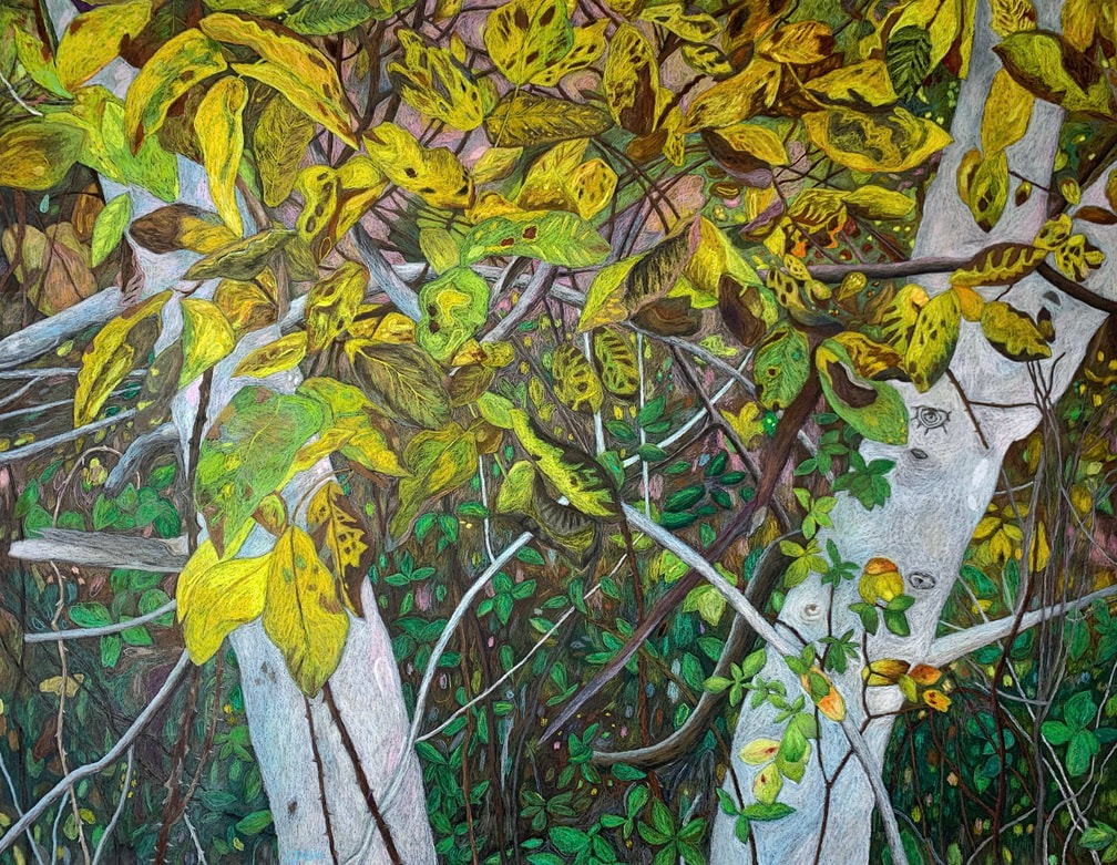 Journées des Ateliers d'Artistes d'Occitanie 2025 : Ross Gash, Lendou-en-Quercy - photo 3