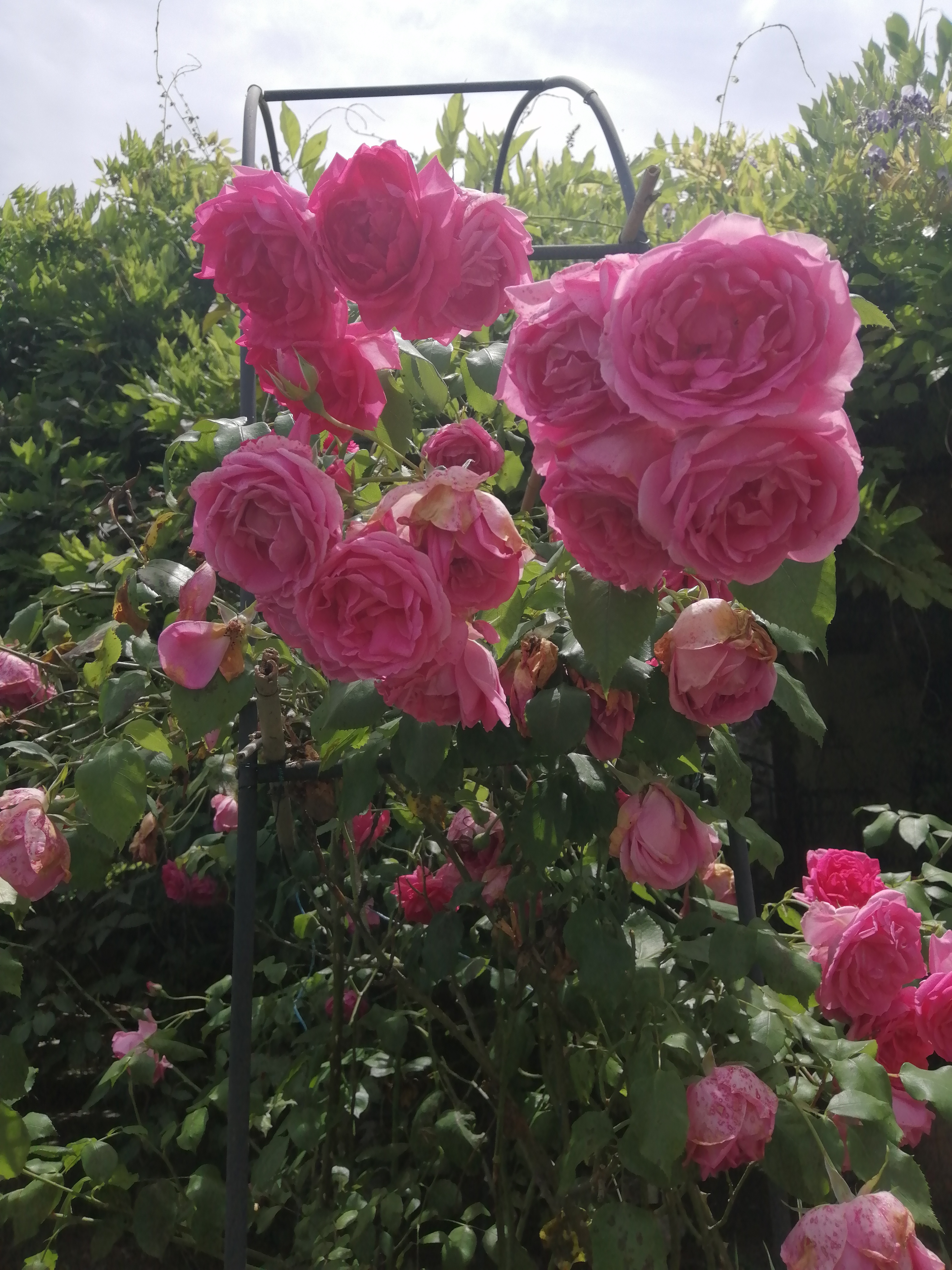 Les Clefs du Temps, Gramat - photo 14
