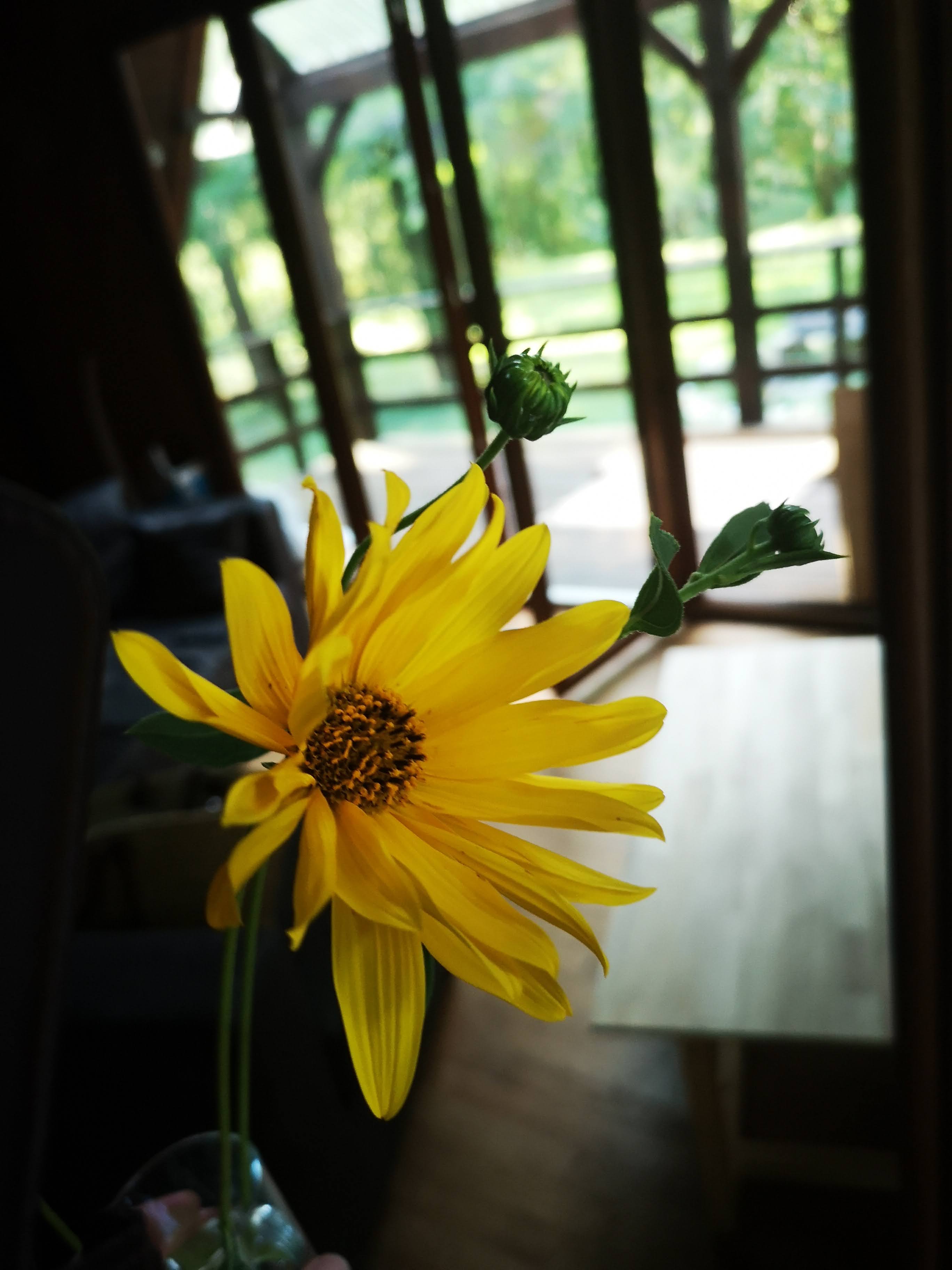 Le Chalet, Pinsac - photo 22