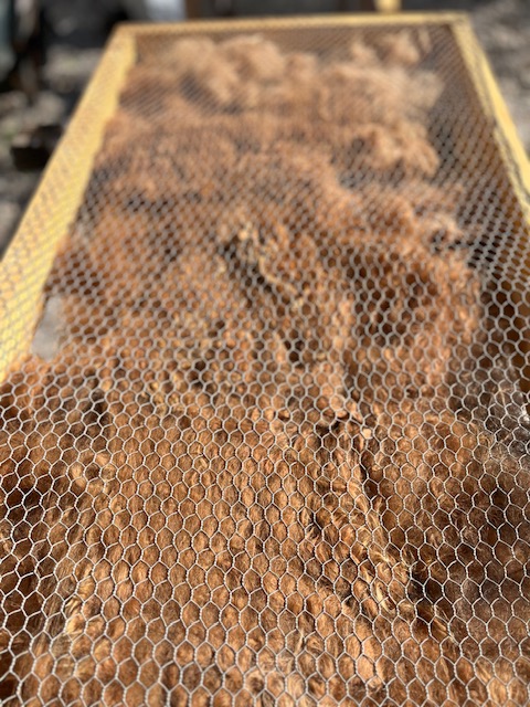 Les Alpacas de Fons, Fons - photo 12