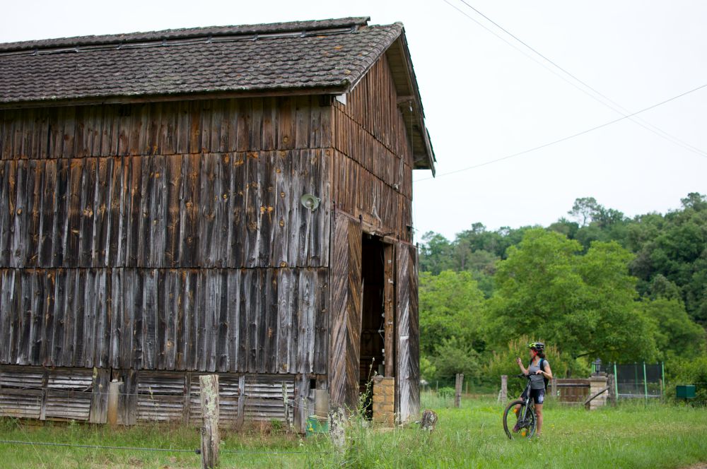 Vélos Verts du Lot, Saint-Chamarand - photo 28