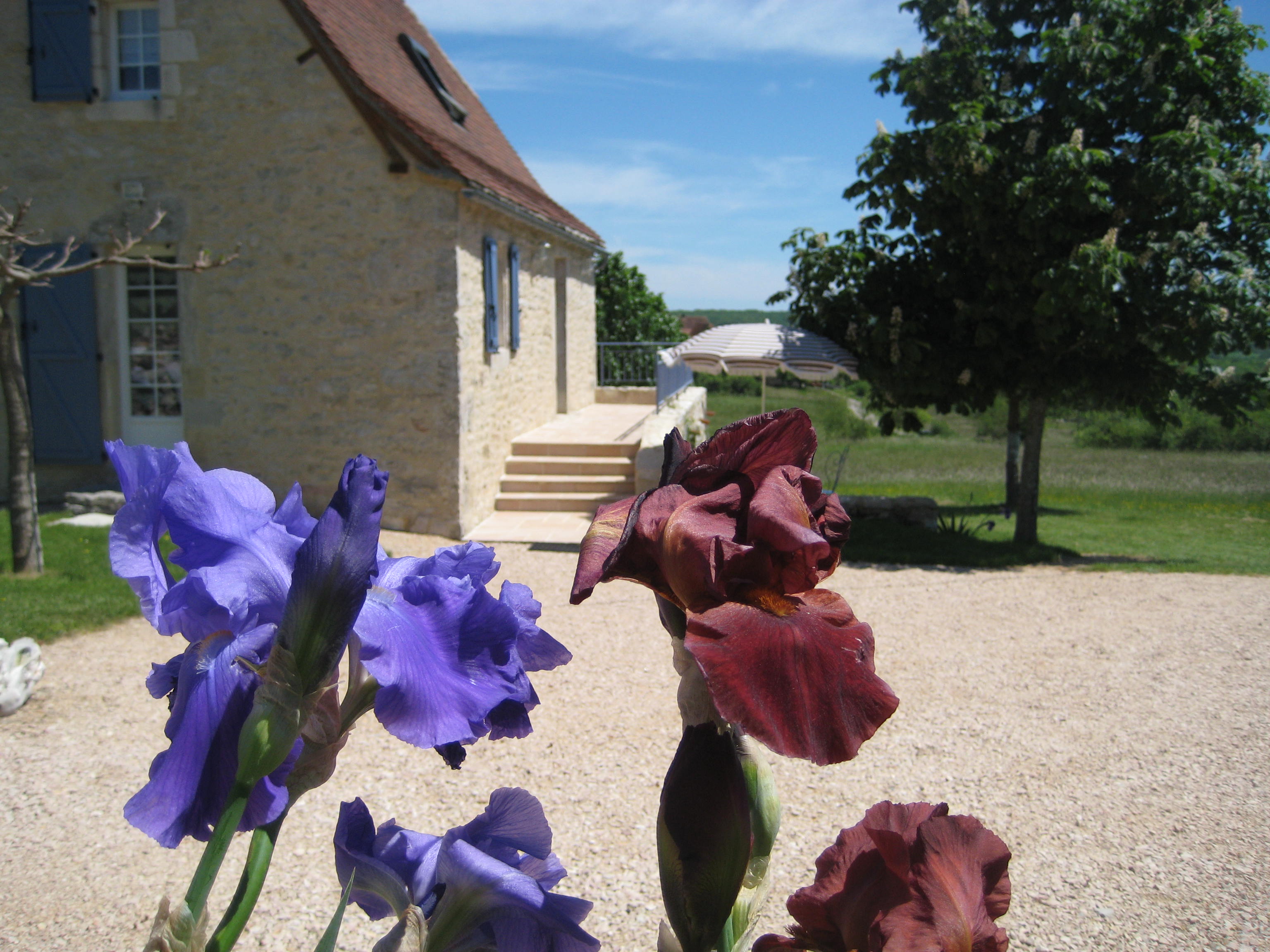 Gîte La Fontanelle, Sénaillac-Lauzès - photo 10