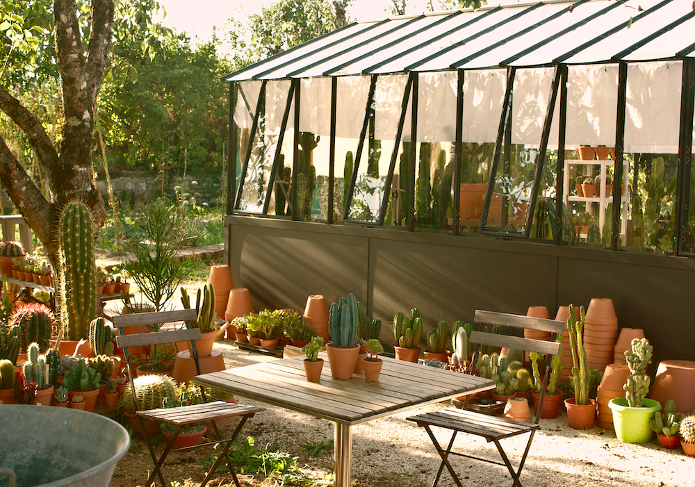 Gîte Le cactus orange, Cressensac-Sarrazac - photo 7