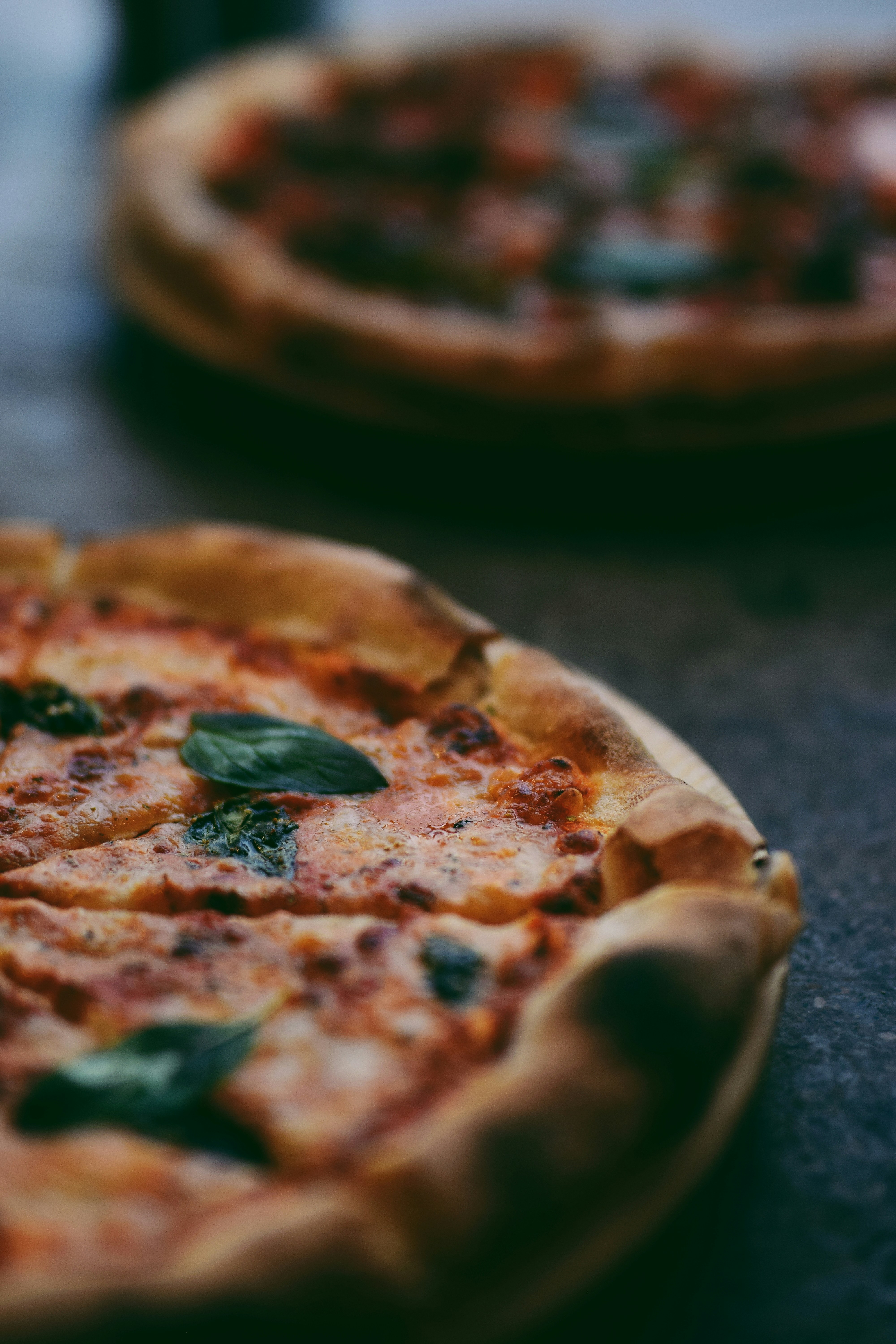 Vente de plants, marché de producteurs et soirée pizza/concert! — visuel événement
