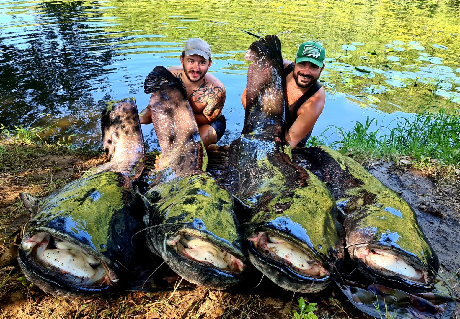 Sylvain Labruyère - Pêche Lot Evasion, Bélaye - photo 8