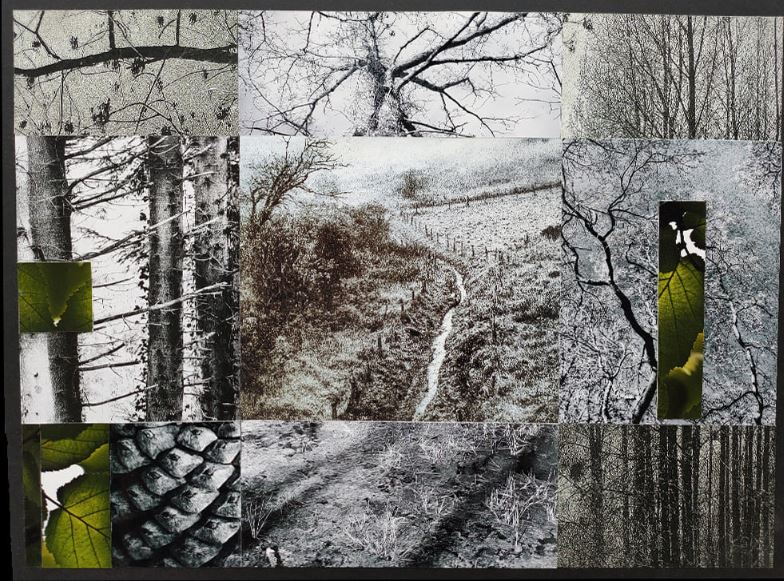 Exposition d'Art Contemporain "Skopies" à l'Espace 21