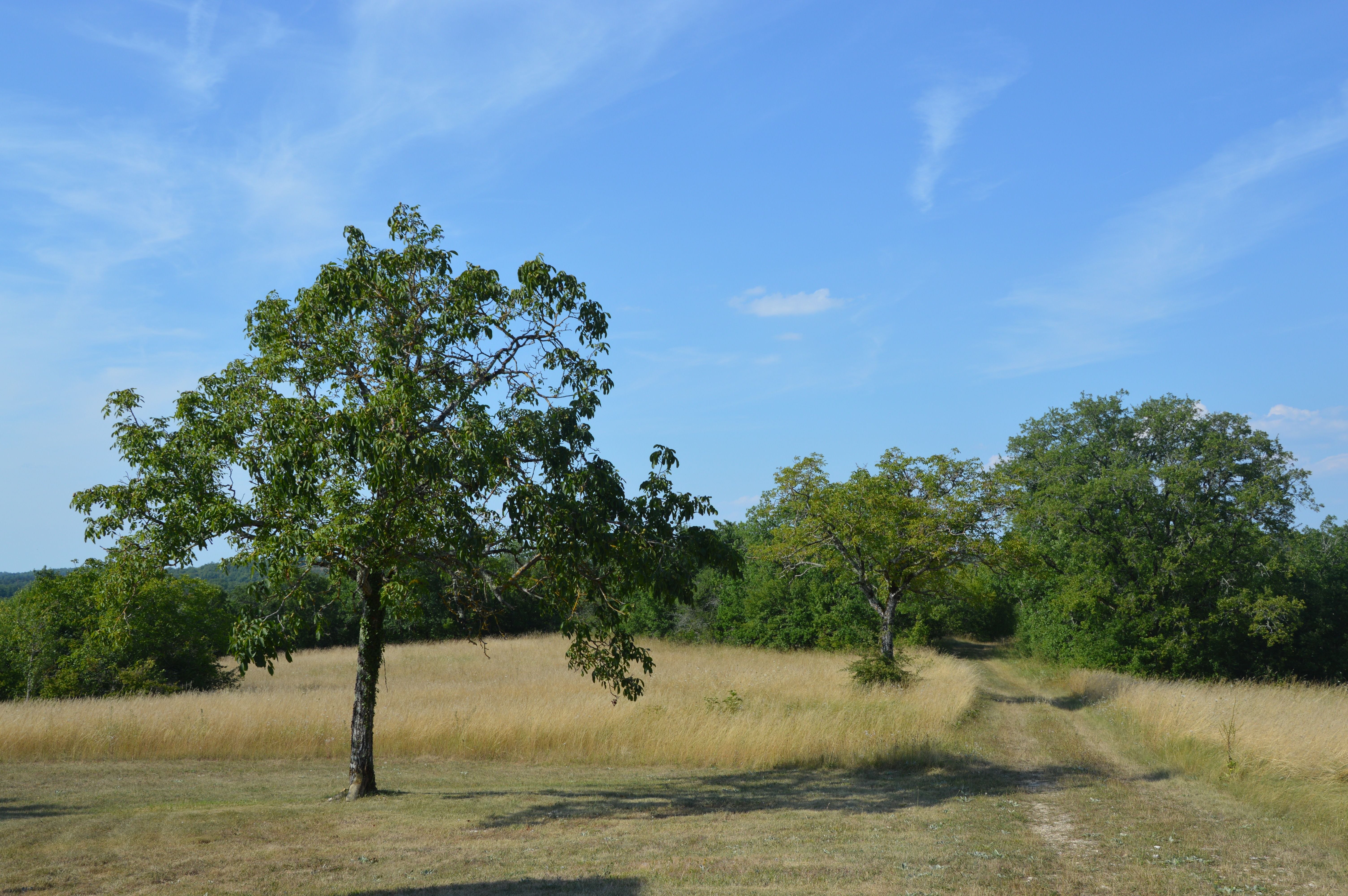 La Grange de Landorre, Villesèque - photo 17