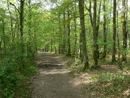 Le sentier du lac des Pescofis