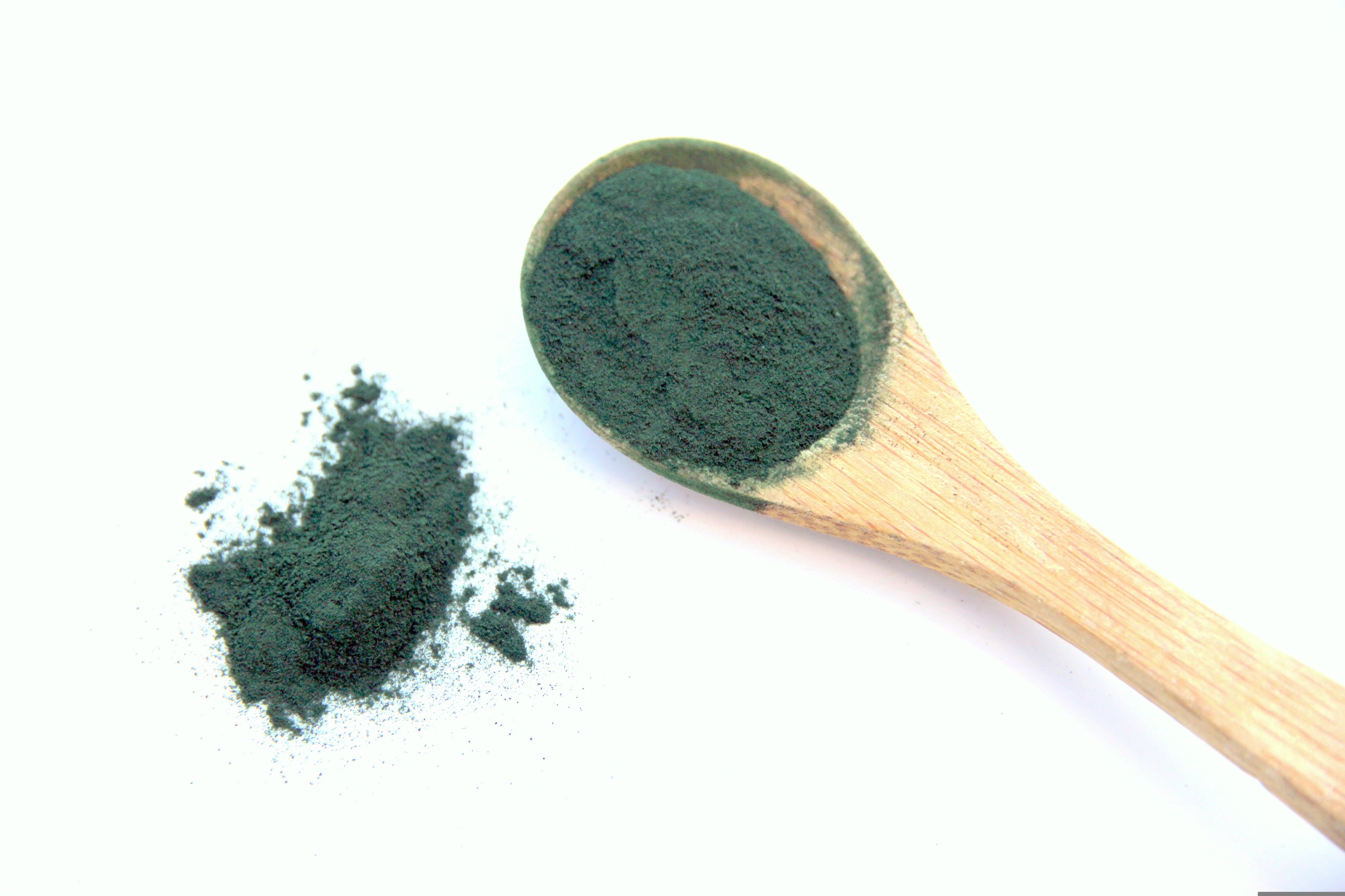 Conférence de Pierre Ancel : "La spiruline à l'origine de la vie"