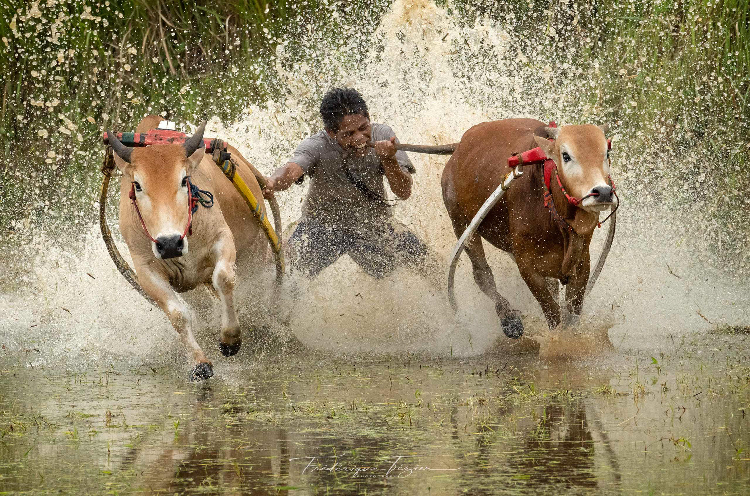Exposition de photographies : "Sumatra, voyages en îles plurielles" de Frédérique Levecque, Saignes - photo 4