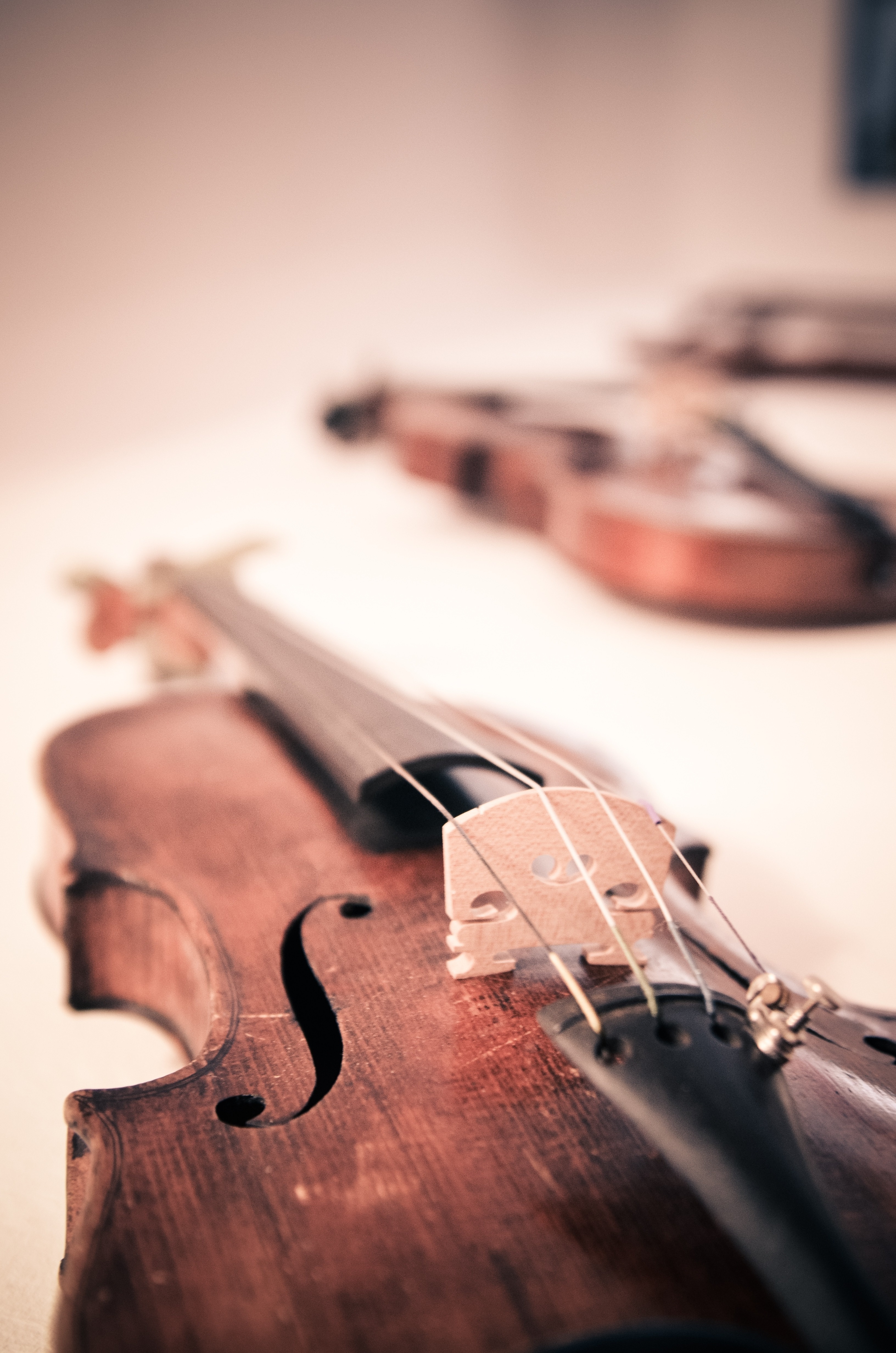 Concert de musique classique à l'atelier-galerie Le 10 — visuel événement