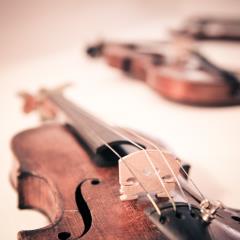 theangryteddy-violin-338518